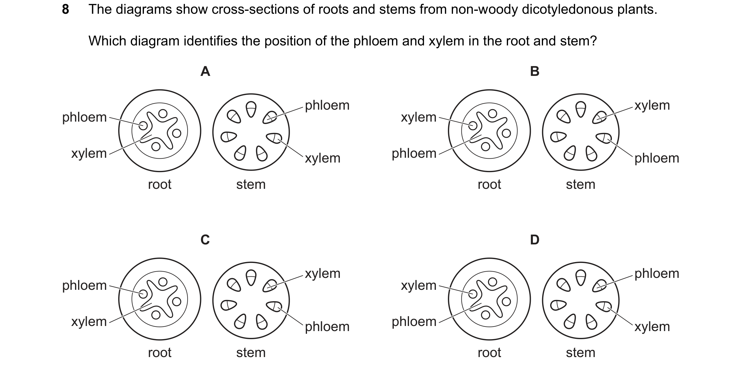 Question 25: The diagrams show cross-sections of roots and stems from non-woody dicotyledonous plants. Which diagram identifies the position of the phlo…