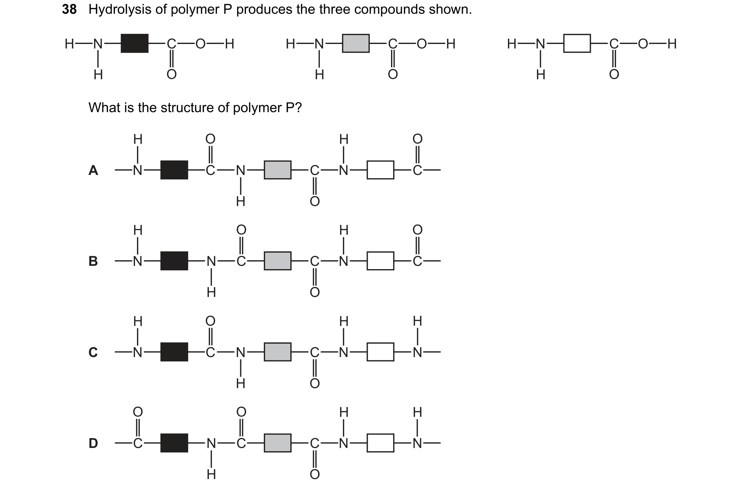Question 19: Hydrolysis of polymer P produces the three compounds shown. H N C O H H N C O H H N C O H H O H O H O What is the structure of polymer P? H…