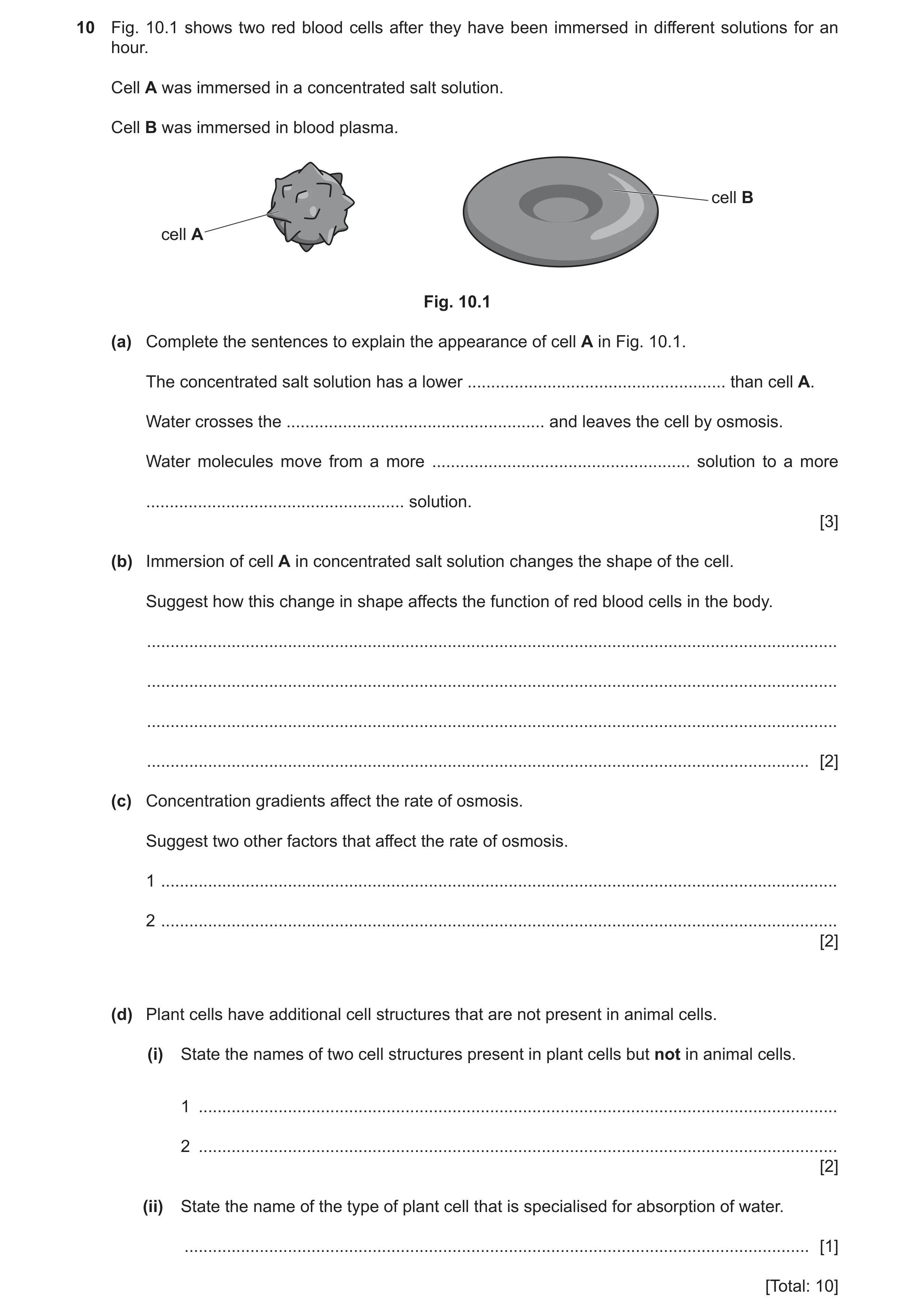 Question 9: Fig. 10.1 shows two red blood cells after they have been immersed in different solutions for an hour. Cell A was immersed in a concentrated…