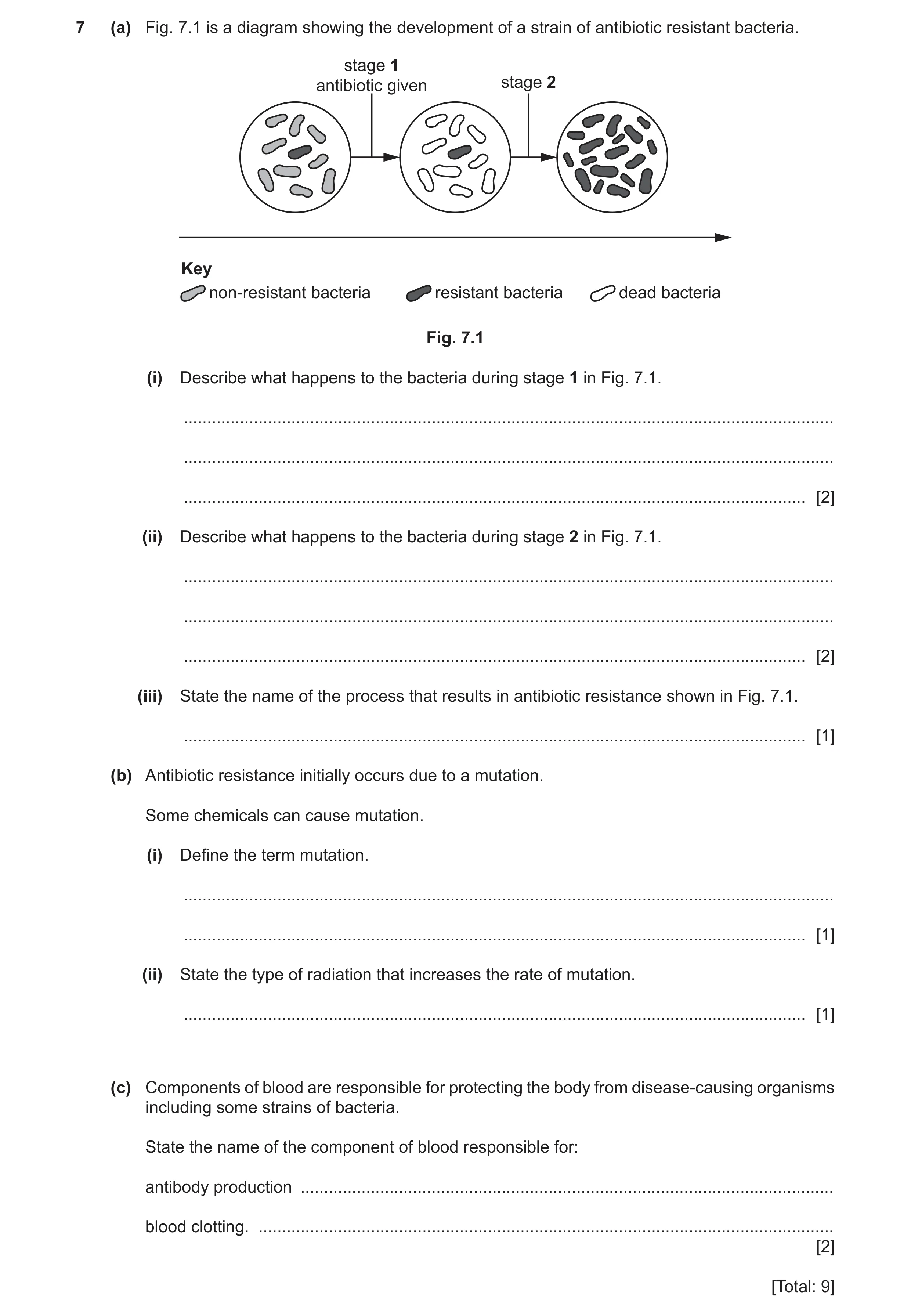 Question 11: (a) Fig. 7.1 is a diagram showing the development of a strain of antibiotic resistant bacteria. stage 1 antibiotic given stage 2 Key non-re…