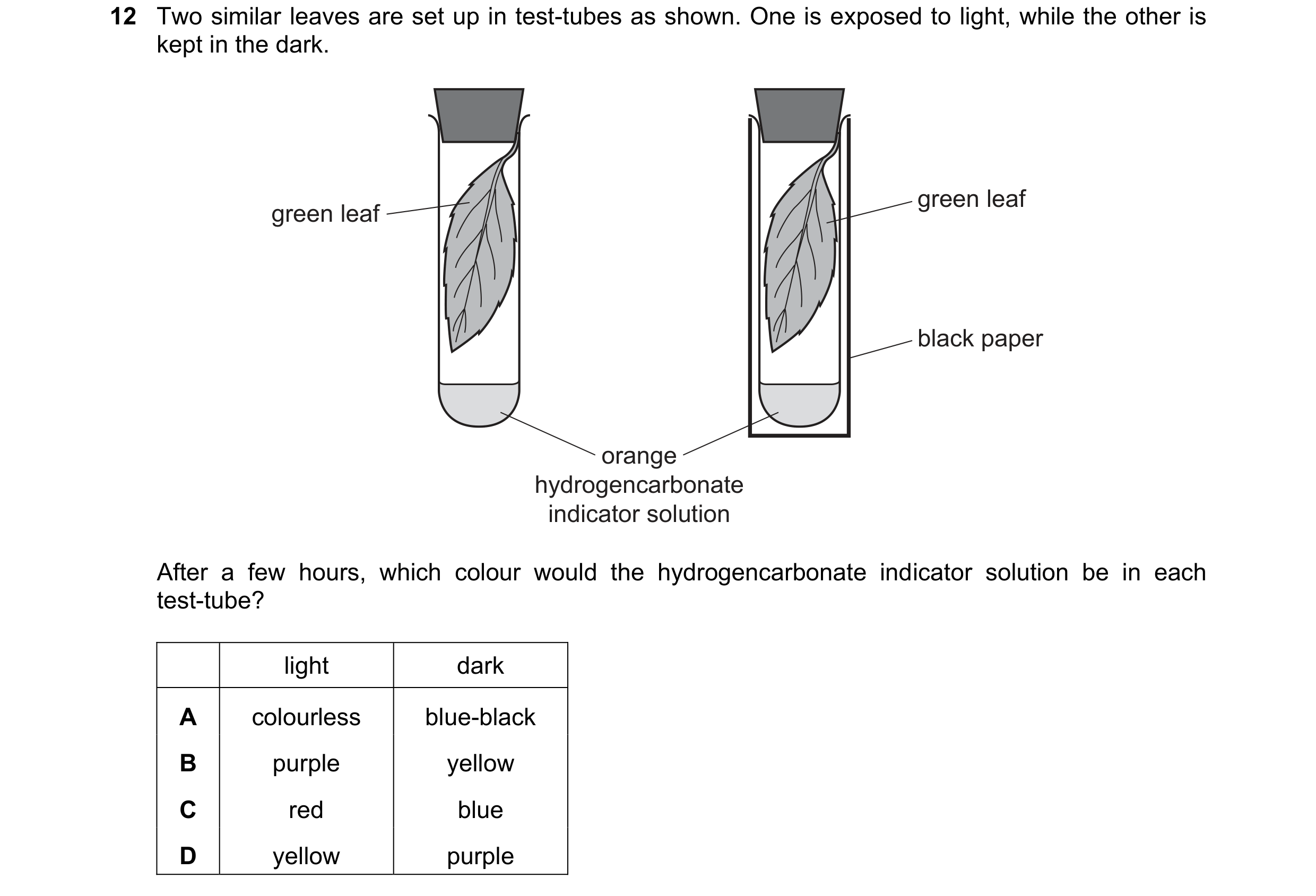 Question 16: Two similar leaves are set up in test-tubes as shown. One is exposed to light, while the other is kept in the dark. green leaf green leaf b…