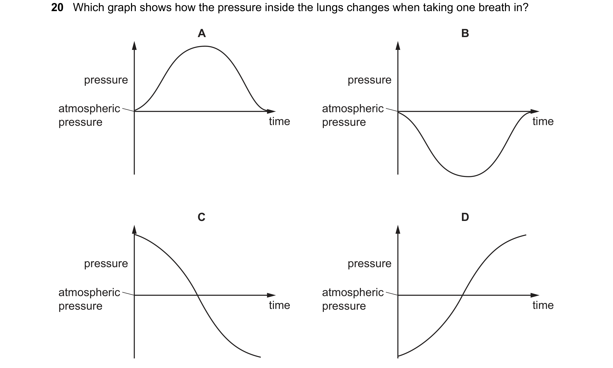 Question 15: Which graph shows how the pressure inside the lungs changes when taking one breath in? A B pressure pressure atmospheric atmospheric pressu…