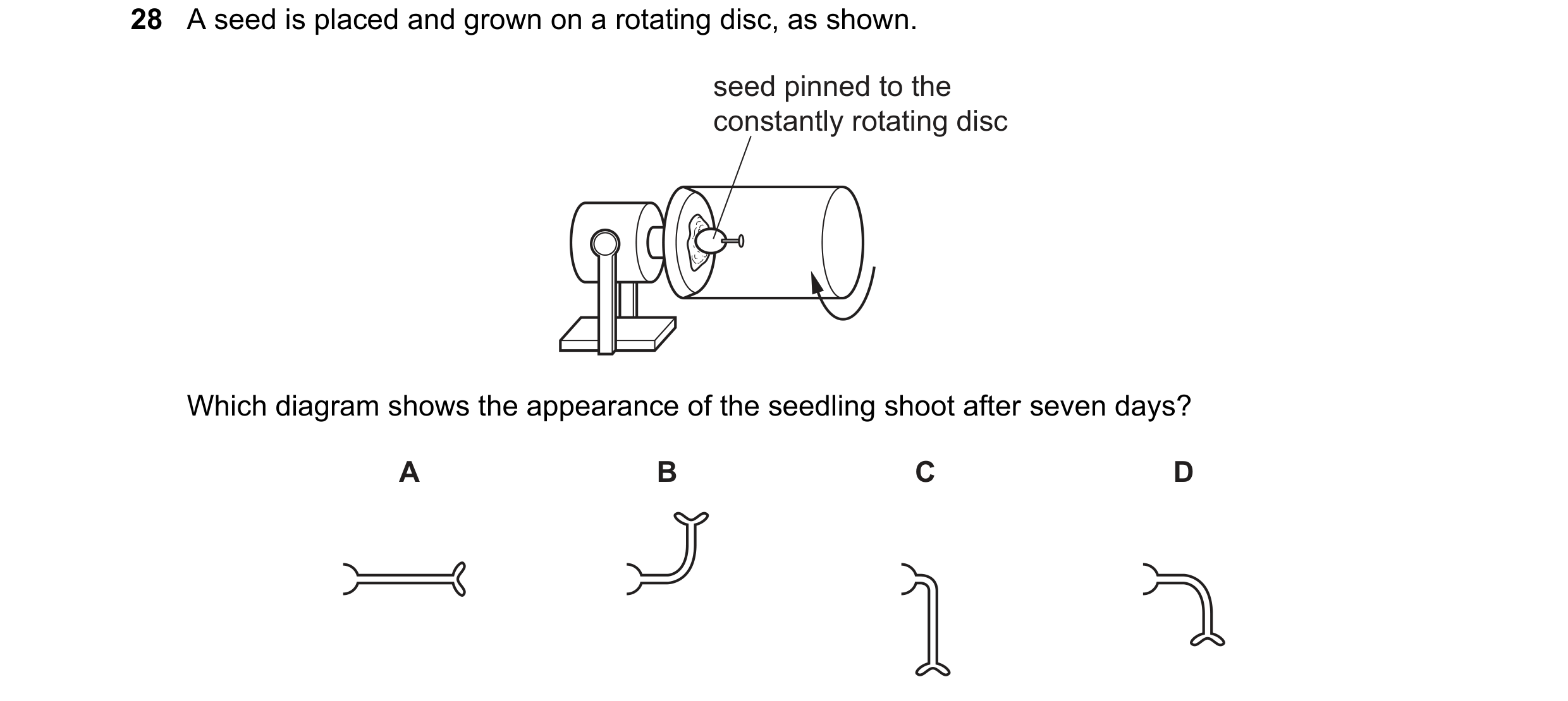 Question 8: A seed is placed and grown on a rotating disc, as shown. seed pinned to the constantly rotating disc Which diagram shows the appearance of …