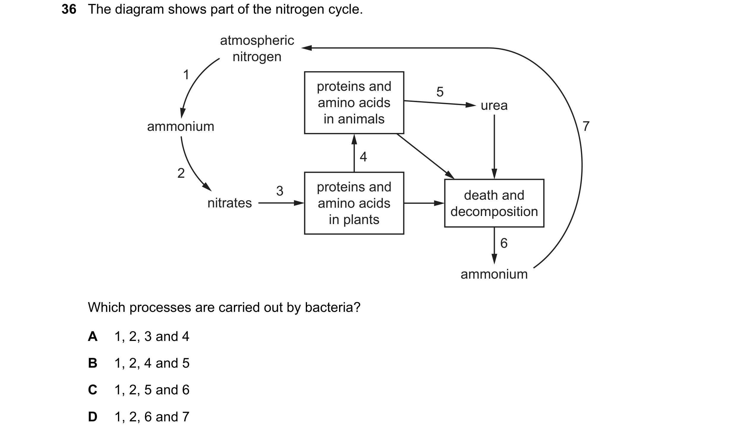 Question 7: The diagram shows part of the nitrogen cycle. atmospheric nitrogen 1 proteins and 5 amino acids urea in animals ammonium 7 4 2 3 proteins a…