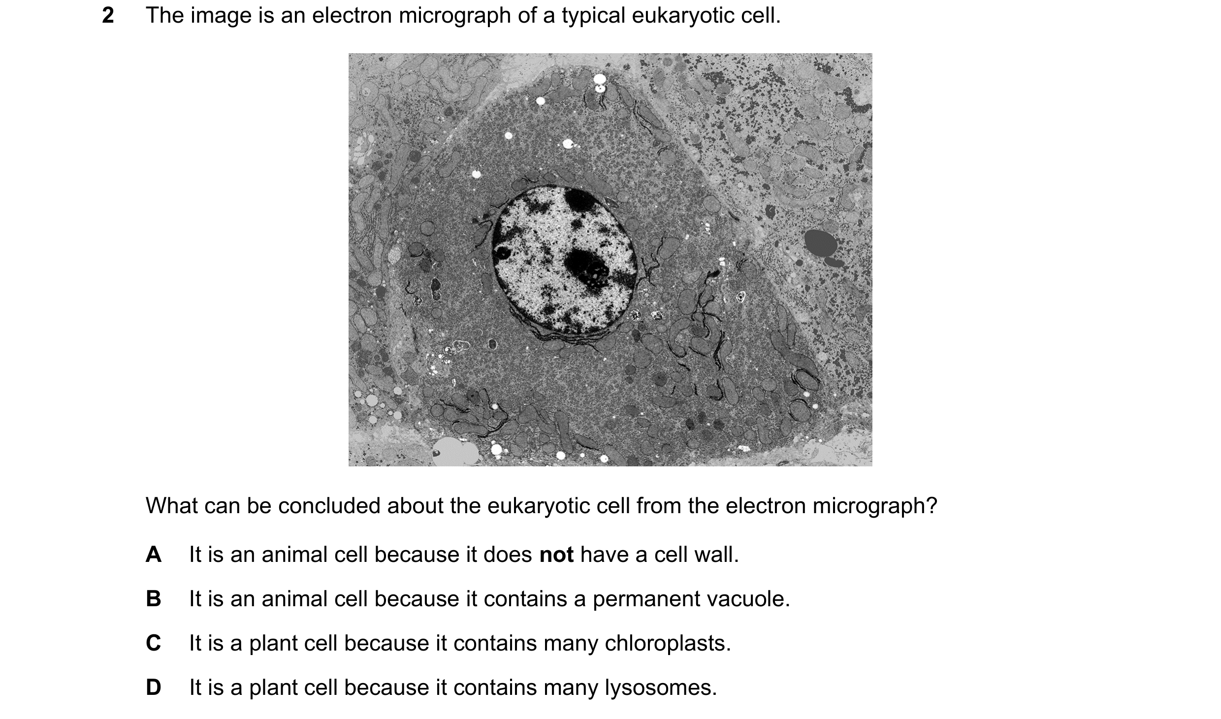 Question 347: The image is an electron micrograph of a typical eukaryotic cell. What can be concluded about the eukaryotic cell from the electron microgr…