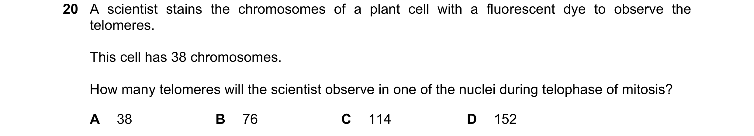 Question 120: A scientist stains the chromosomes of a plant cell with a fluorescent dye to observe the telomeres. This cell has 38 chromosomes. How many …