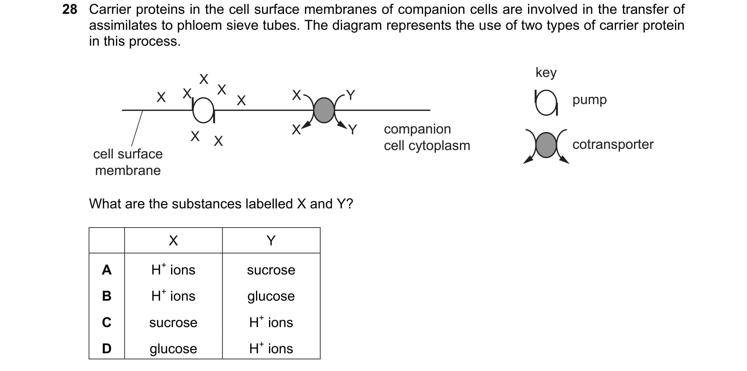 Question 236: Carrier proteins in the cell surface membranes of companion cells are involved in the transfer of assimilates to phloem sieve tubes. The di…