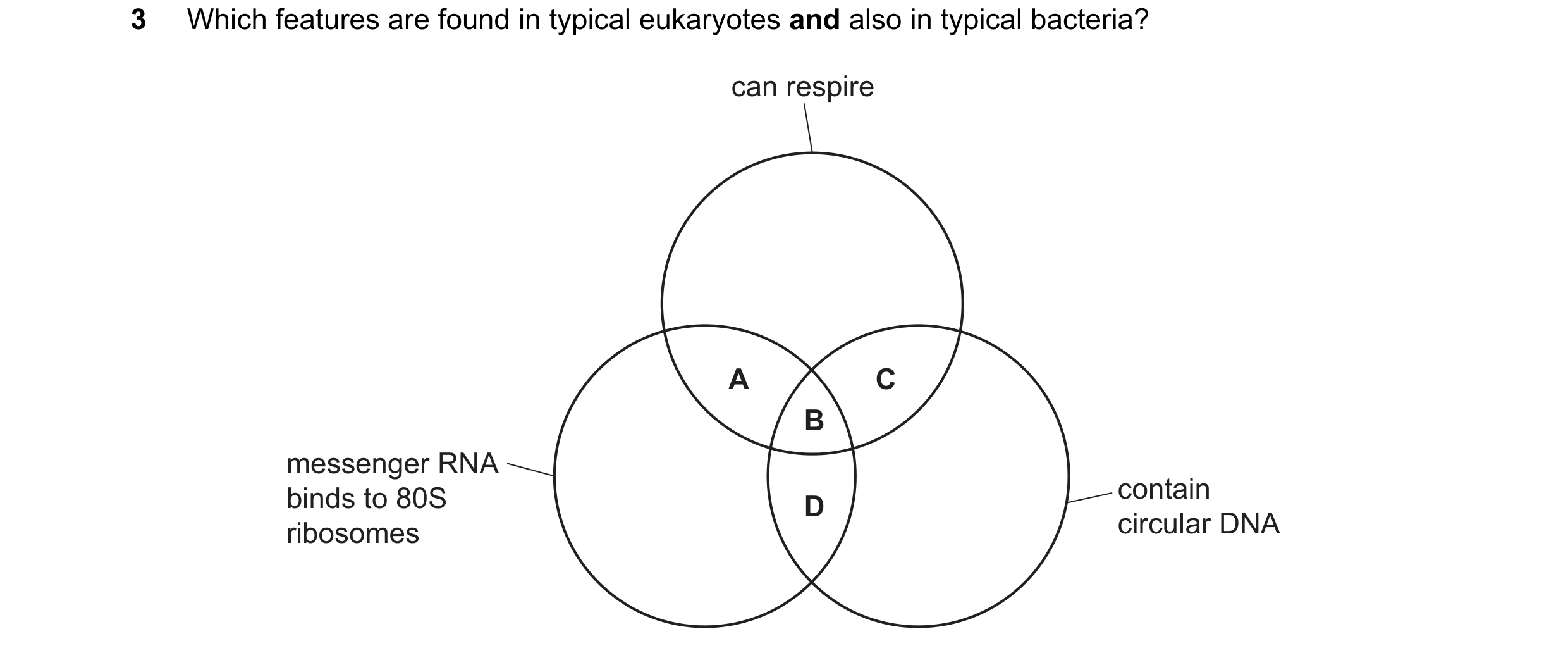 Question 348: Which features are found in typical eukaryotes and also in typical bacteria? can respire A C B messenger RNA binds to 80S contain D ribosom…