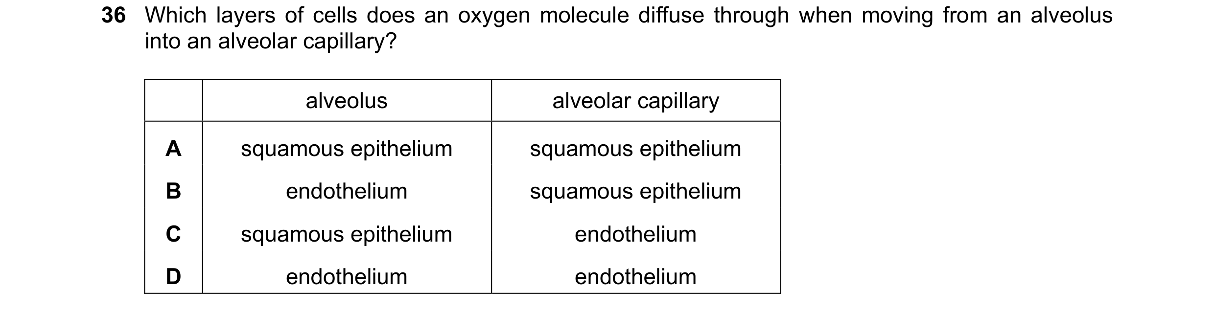 Question 251: Which layers of cells does an oxygen molecule diffuse through when moving from an alveolus into an alveolar capillary? alveolus alveolar ca…