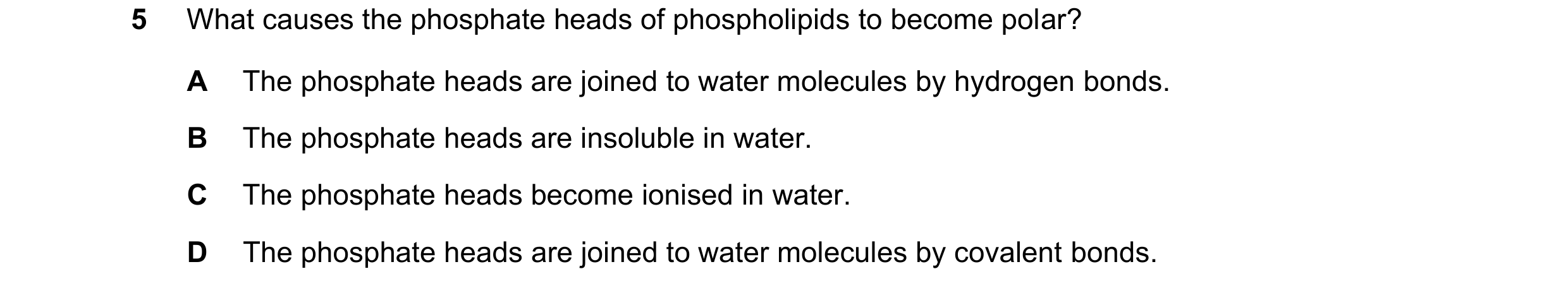 Question 133: What causes the phosphate heads of phospholipids to become polar? A The phosphate heads are joined to water molecules by hydrogen bonds. B …