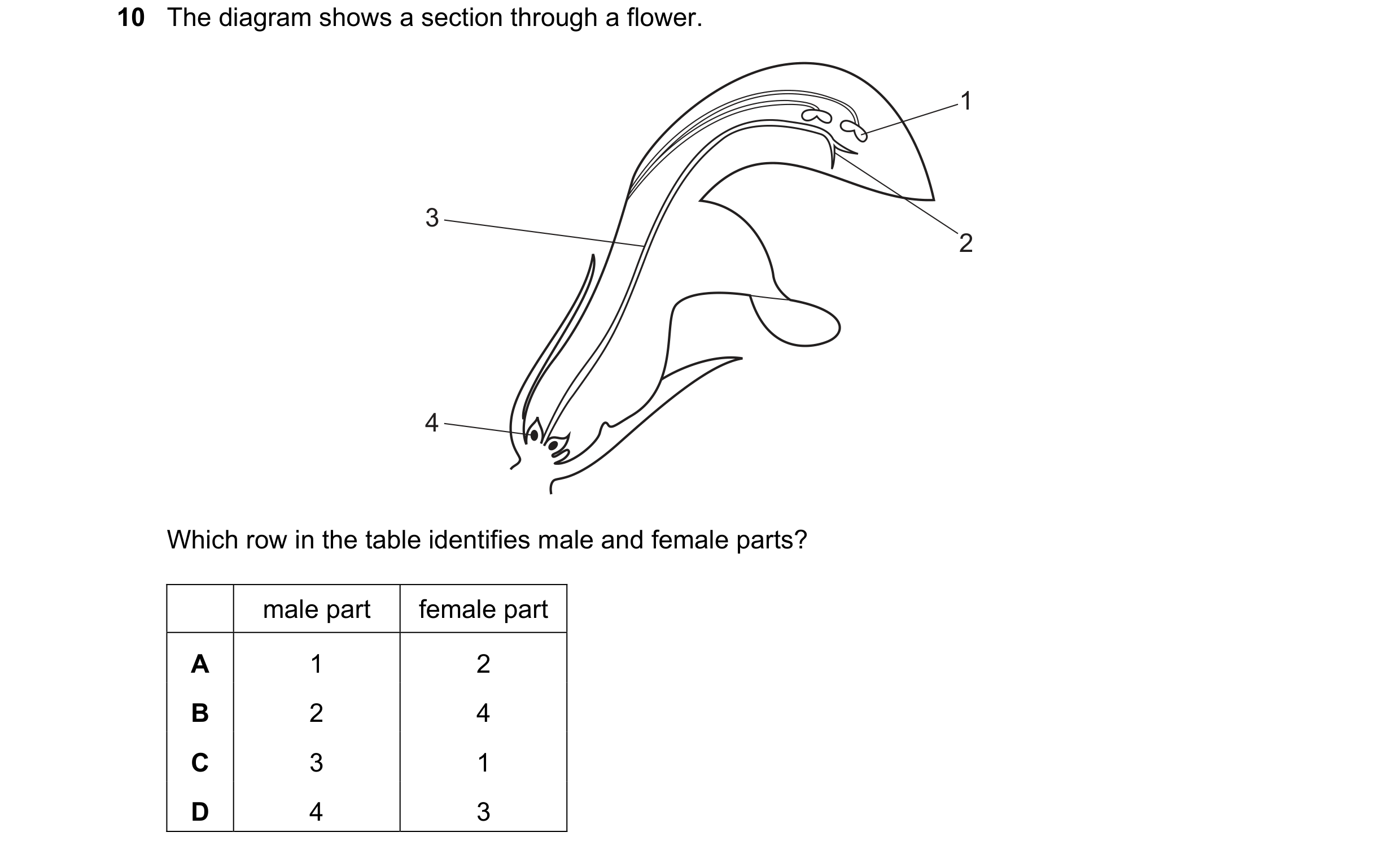 Question 57: The diagram shows a section through a flower. 1 3 2 4 Which row in the table identifies male and female parts? male part female part A 1 2 …