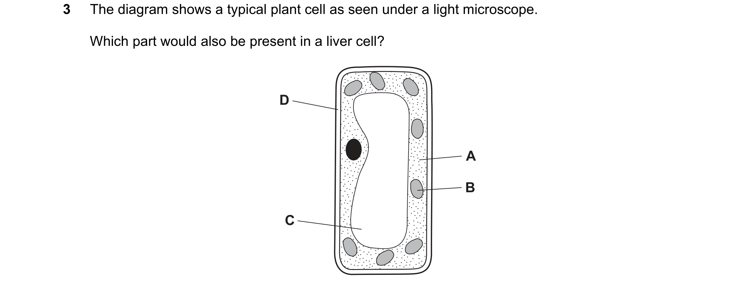 Question 47: The diagram shows a typical plant cell as seen under a light microscope. Which part would also be present in a liver cell? D A B C