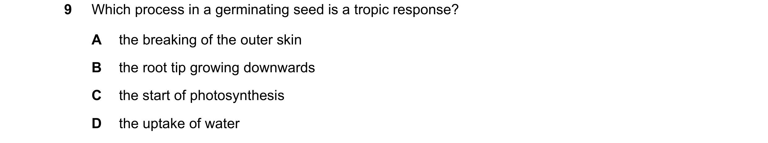 Question 39: Which process in a germinating seed is a tropic response? A the breaking of the outer skin B the root tip growing downwards C the start of …