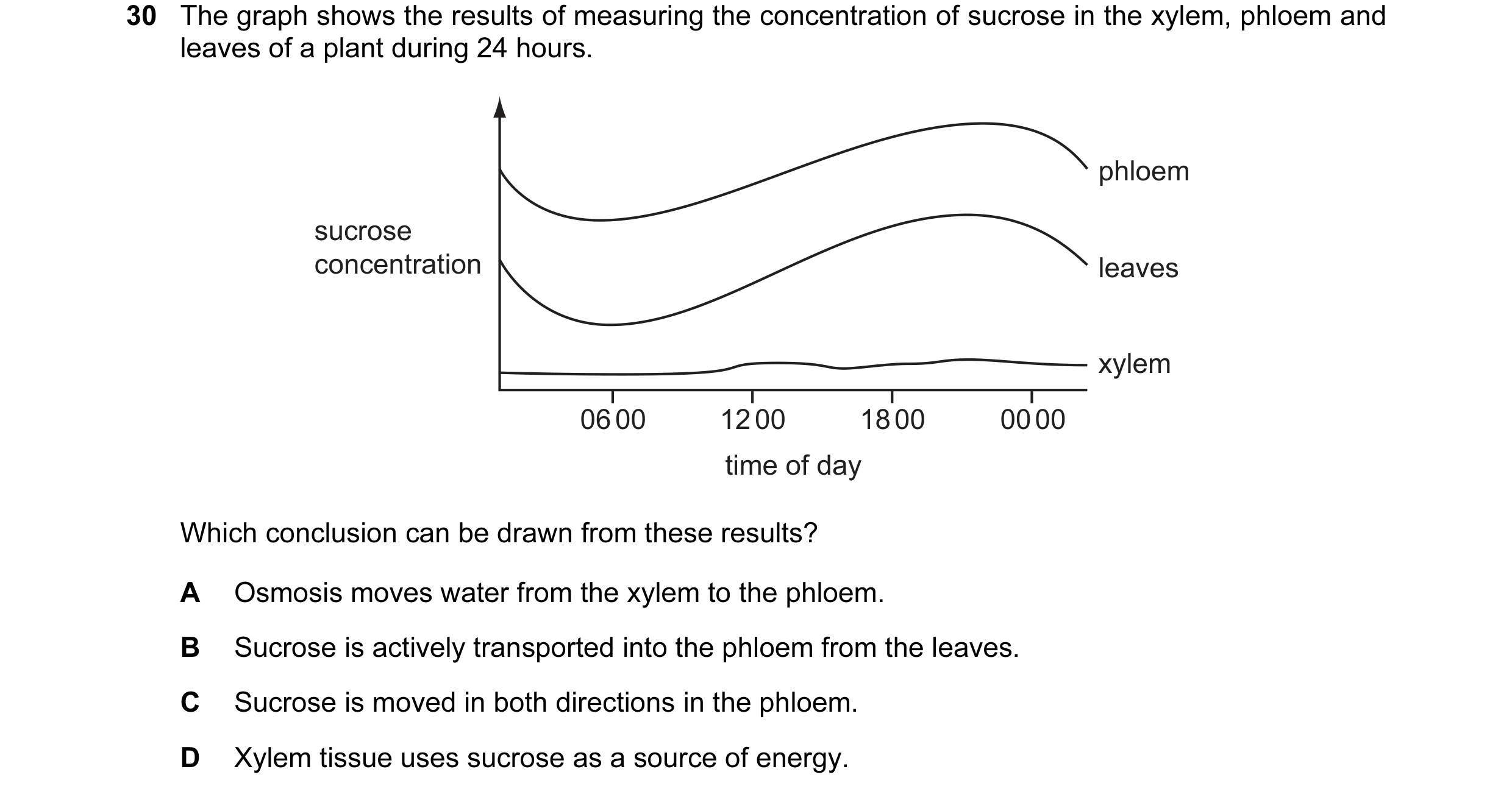 Question 33: The graph shows the results of measuring the concentration of sucrose in the xylem, phloem and leaves of a plant during 24 hours. phloem su…