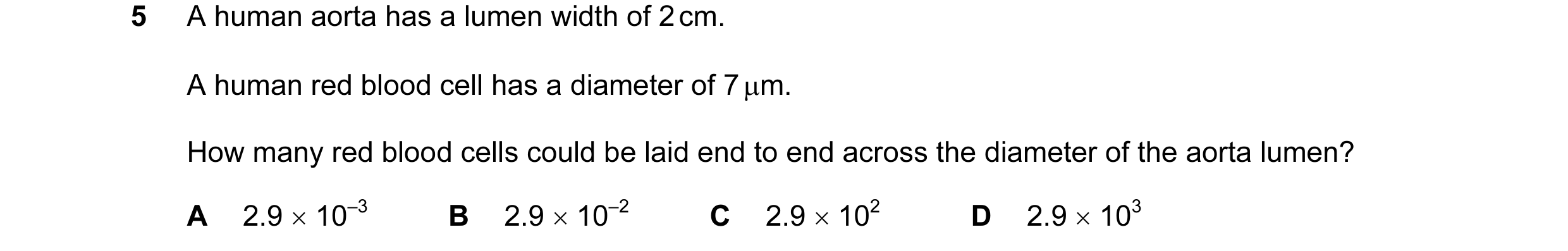 Question 38: A human aorta has a lumen width of 2 cm. A human red blood cell has a diameter of 7 µm. How many red blood cells could be laid end to end a…