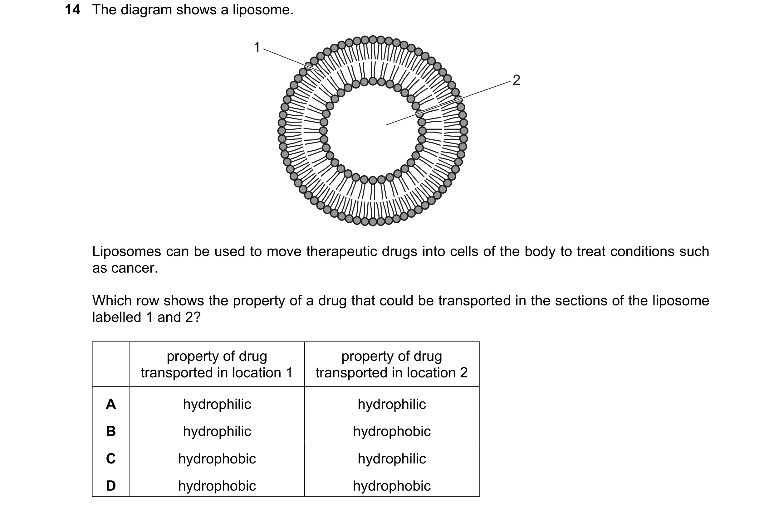 Question 120: The diagram shows a liposome. 1 2 Liposomes can be used to move therapeutic drugs into cells of the body to treat conditions such as cancer…