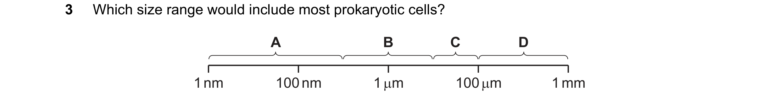 Question 287: Which size range would include most prokaryotic cells? A B C D 1 nm 100 nm 1 µm 100 µm 1 mm