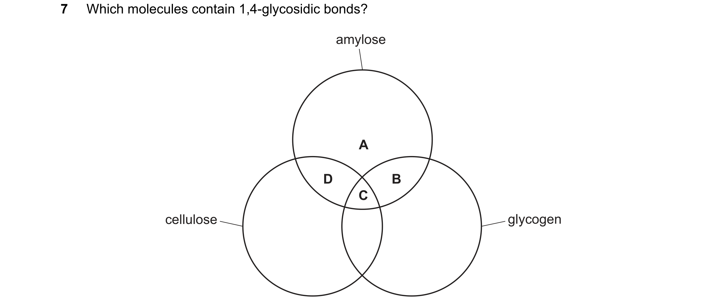Question 279: Which molecules contain 1,4-glycosidic bonds? amylose A D B C cellulose glycogen