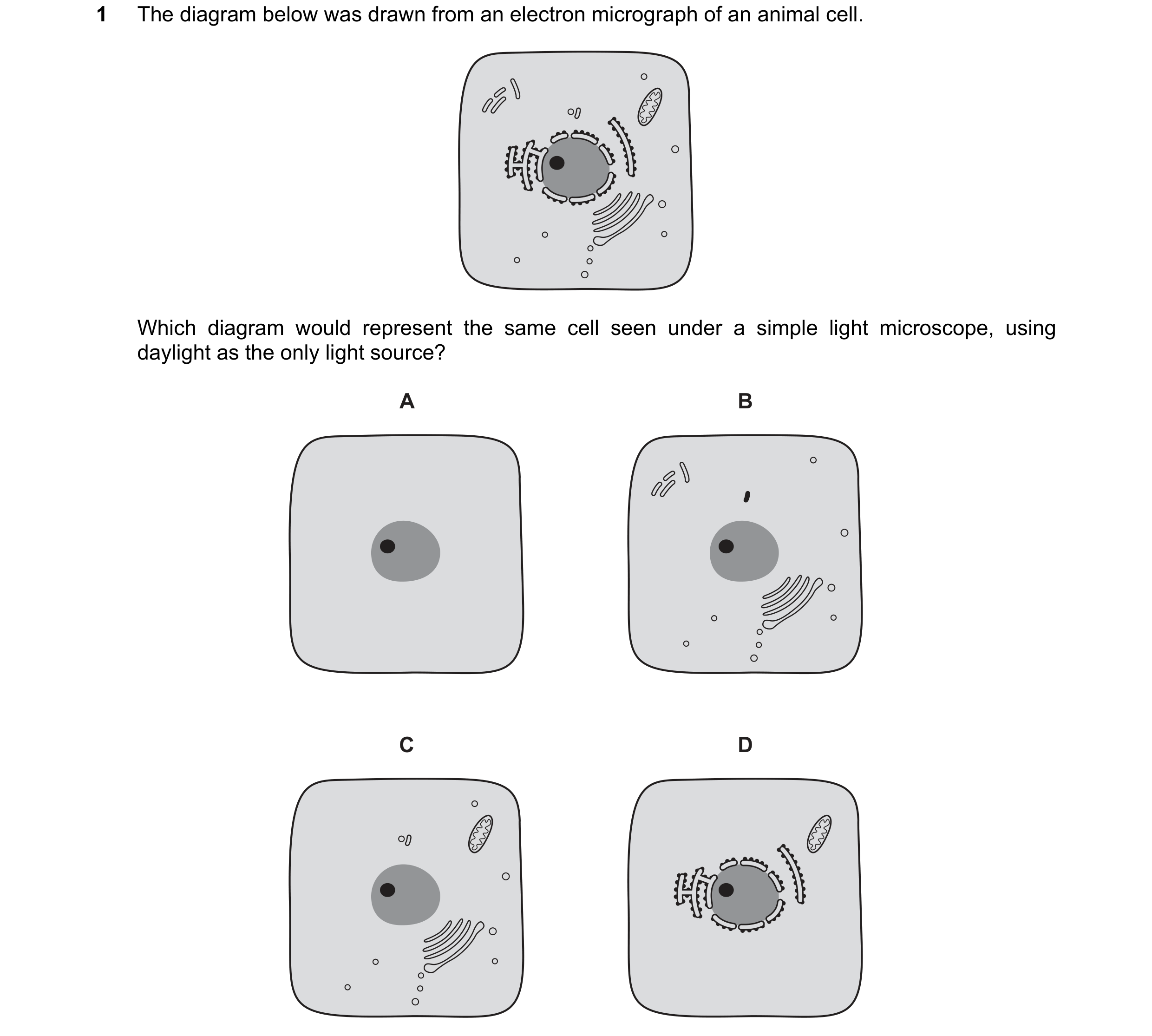 Question 121: The diagram below was drawn from an electron micrograph of an animal cell. Which diagram would represent the same cell seen under a simple …