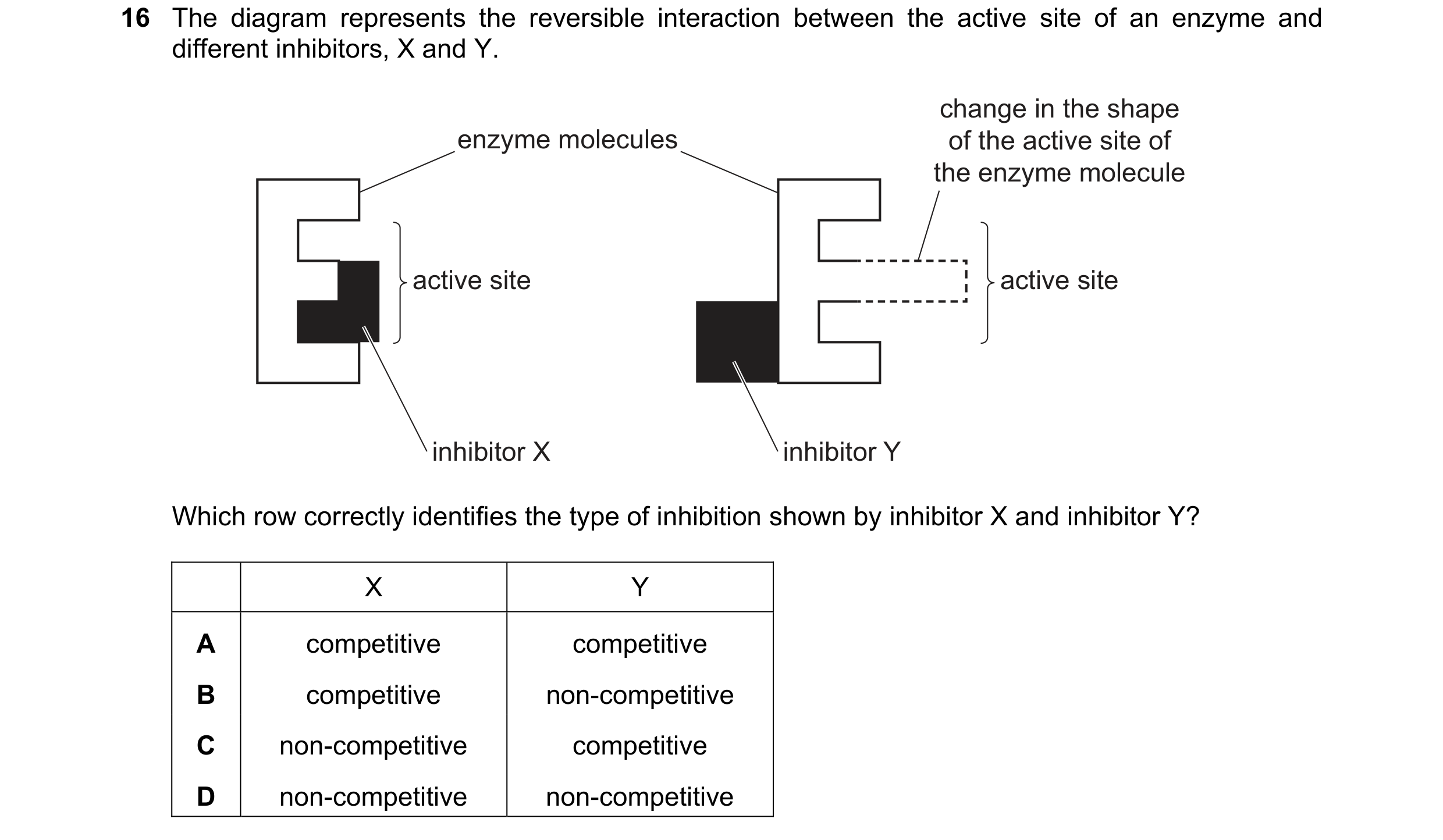 Question 106: The diagram represents the reversible interaction between the active site of an enzyme and different inhibitors, X and Y. change in the sha…