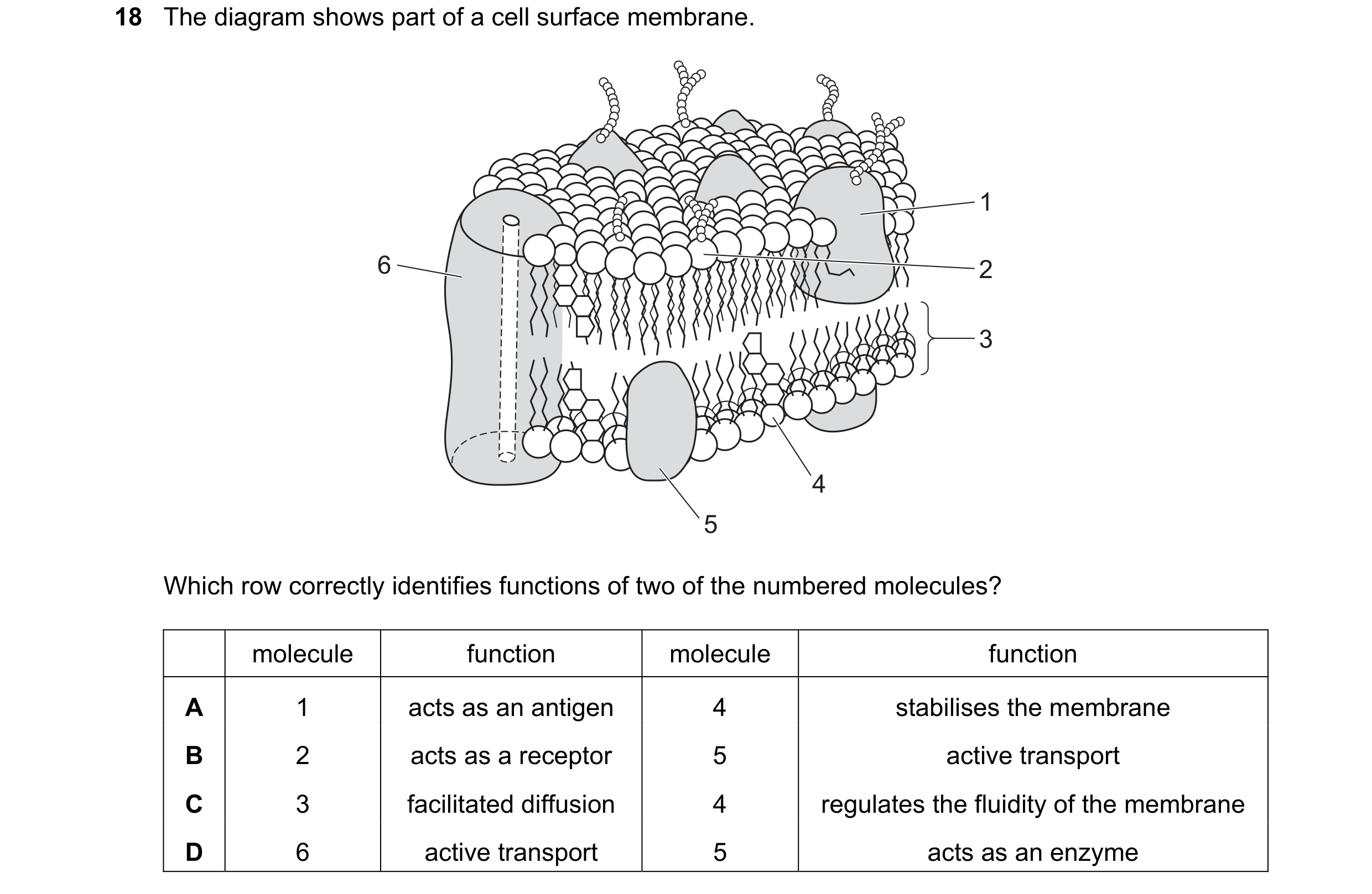 Question 90: The diagram shows part of a cell surface membrane. 1 6 2 3 4 5 Which row correctly identifies functions of two of the numbered molecules? m…