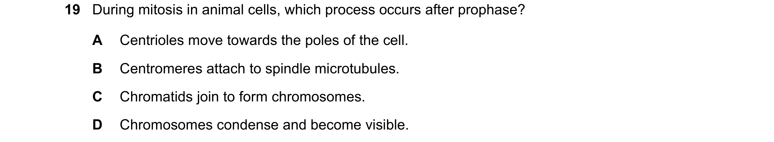 Question 70: During mitosis in animal cells, which process occurs after prophase? A Centrioles move towards the poles of the cell. B Centromeres attach …