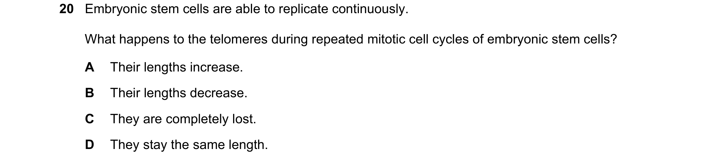 Question 105: Embryonic stem cells are able to replicate continuously. What happens to the telomeres during repeated mitotic cell cycles of embryonic ste…