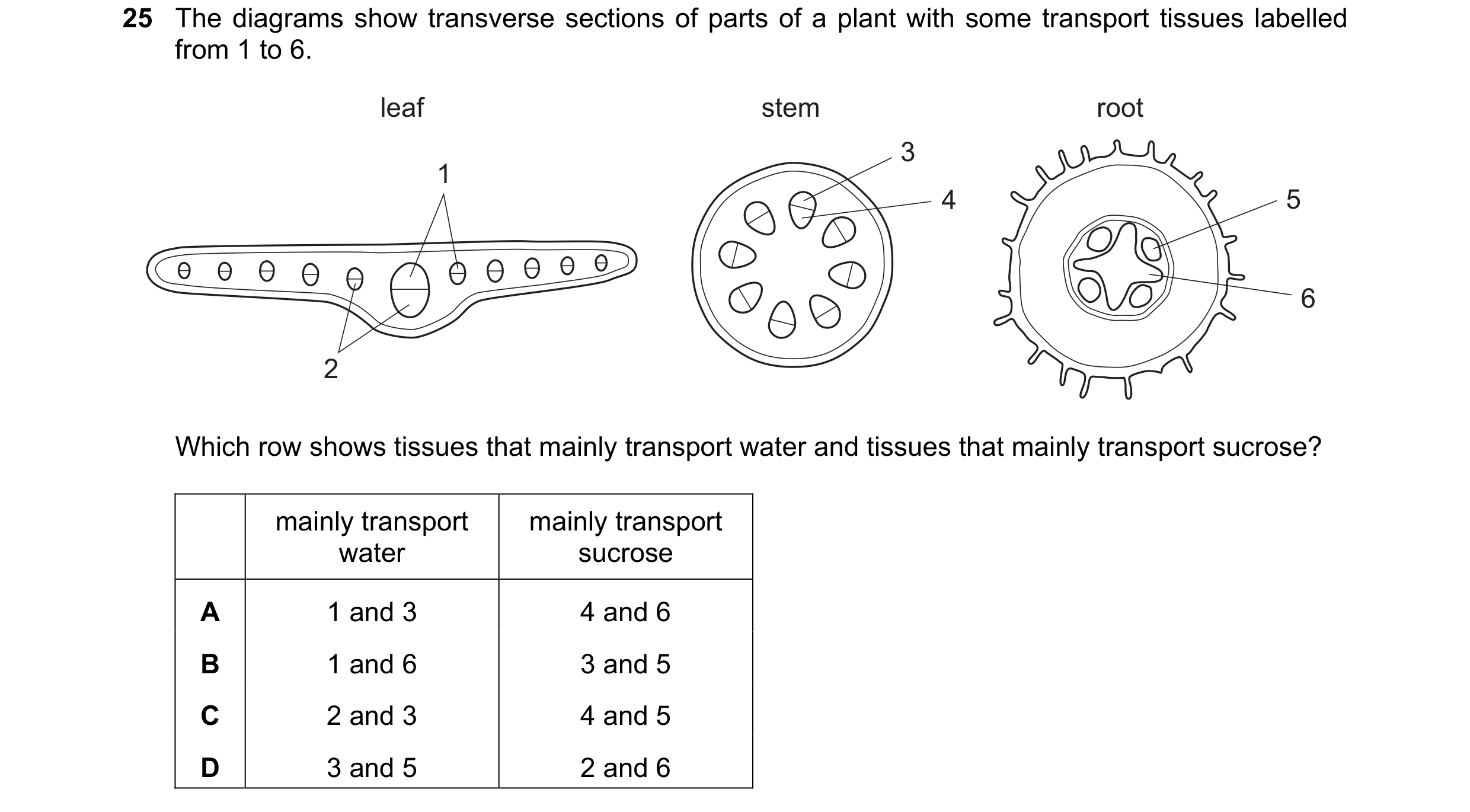 Question 62: The diagrams show transverse sections of parts of a plant with some transport tissues labelled from 1 to 6. leaf stem root 3 1 4 5 6 2 Whic…