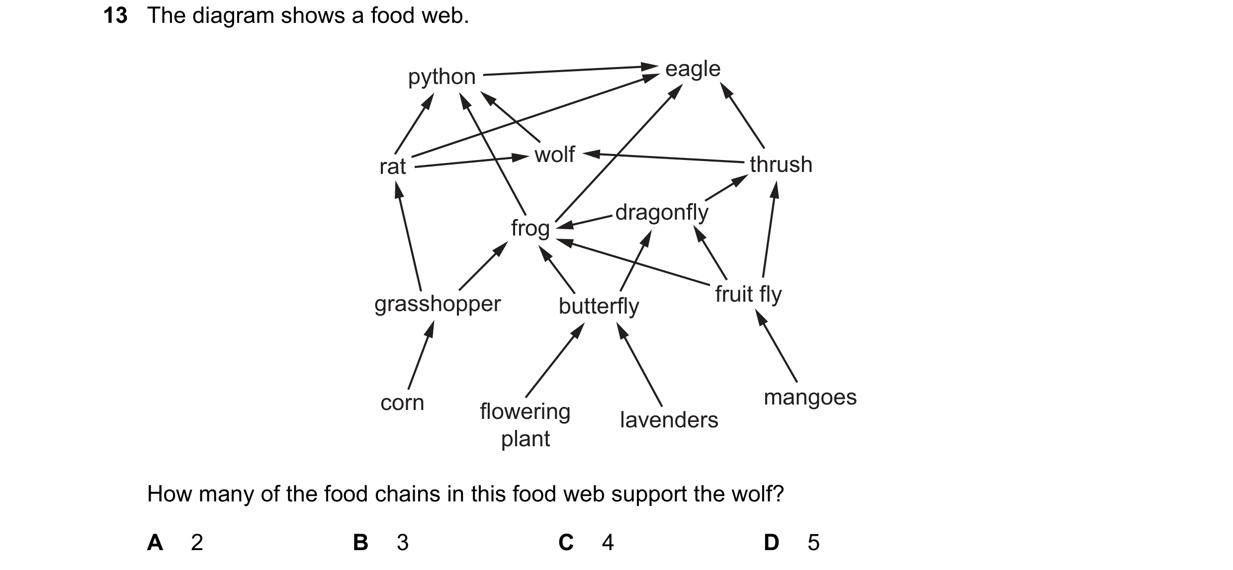 Question 39: The diagram shows a food web. python eagle wolf thrush rat dragonfly frog grasshopper fruit fly butterfly corn mangoes flowering lavenders …