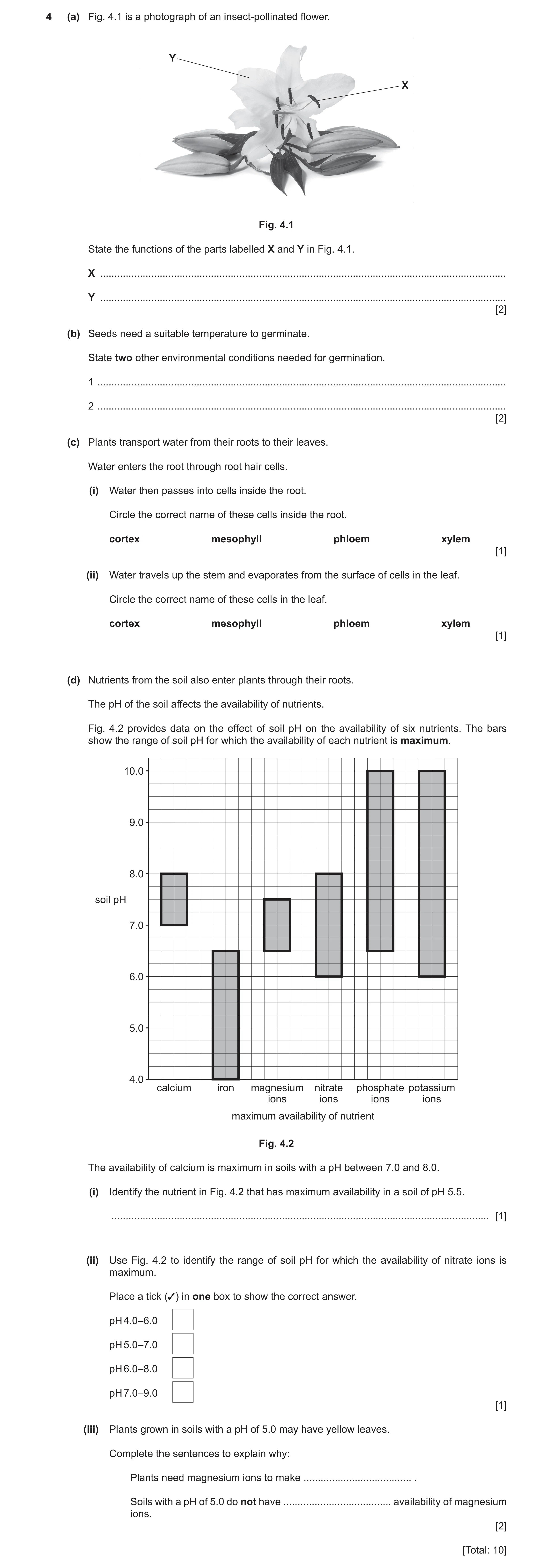 Question 11: (a) Fig. 4.1 is a photograph of an insect‑pollinated flower. Y X Fig. 4.1 State the functions of the parts labelled X and Y in Fig. 4.1. X …