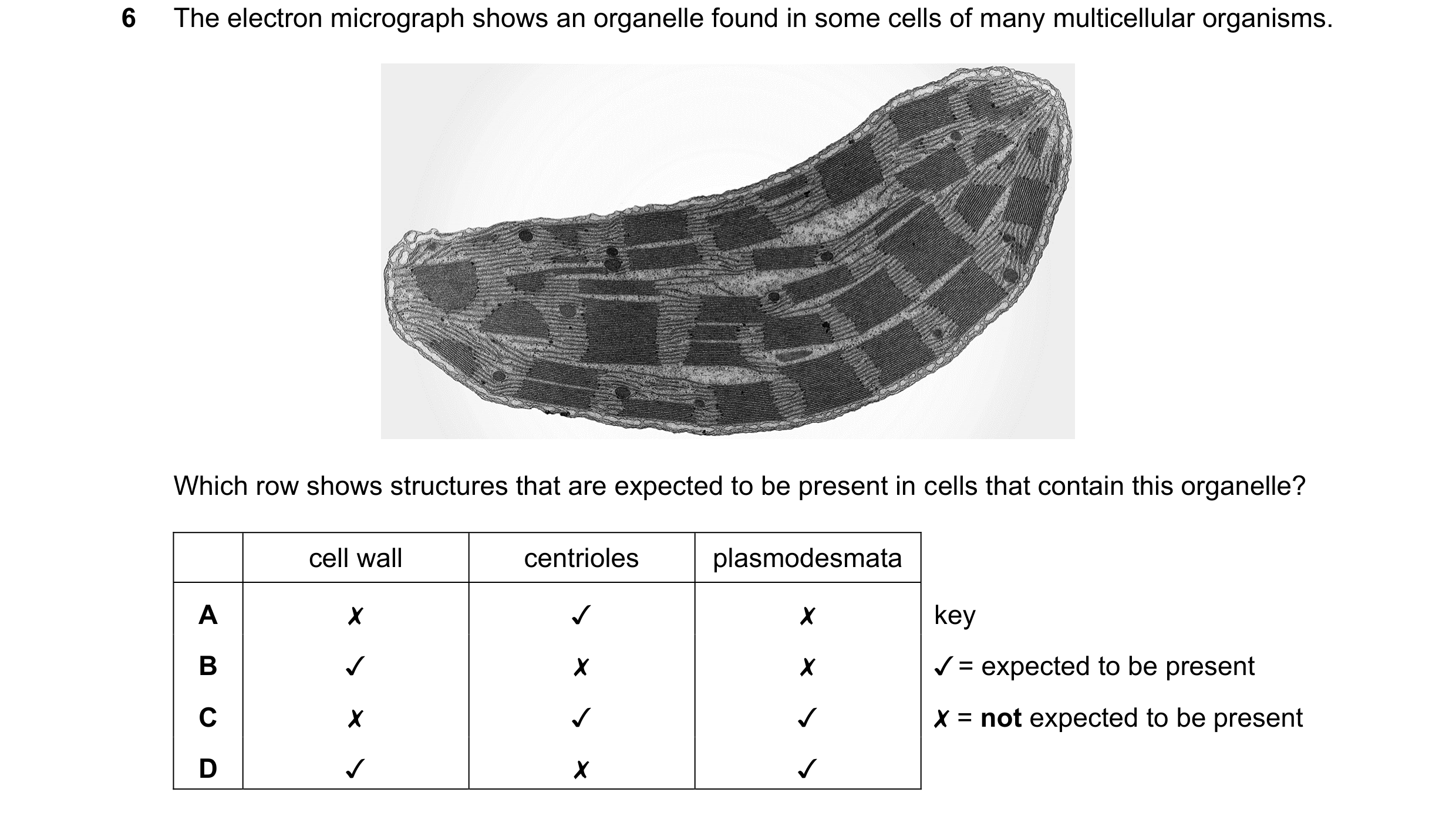 Question 369: The electron micrograph shows an organelle found in some cells of many multicellular organisms.

Which row shows structures that are expect…