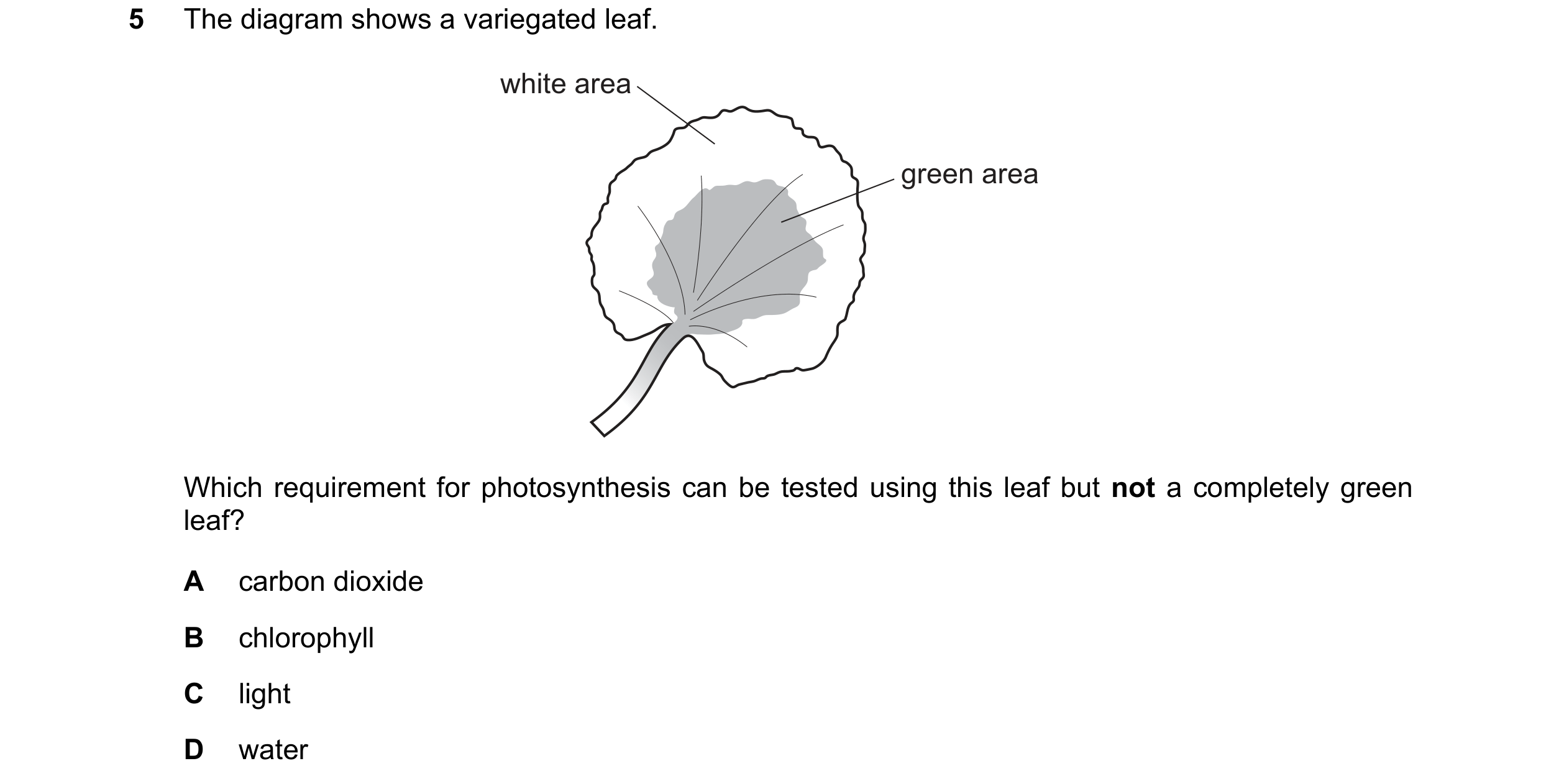 Question 43: The diagram shows a variegated leaf. white area green area Which requirement for photosynthesis can be tested using this leaf but not a com…