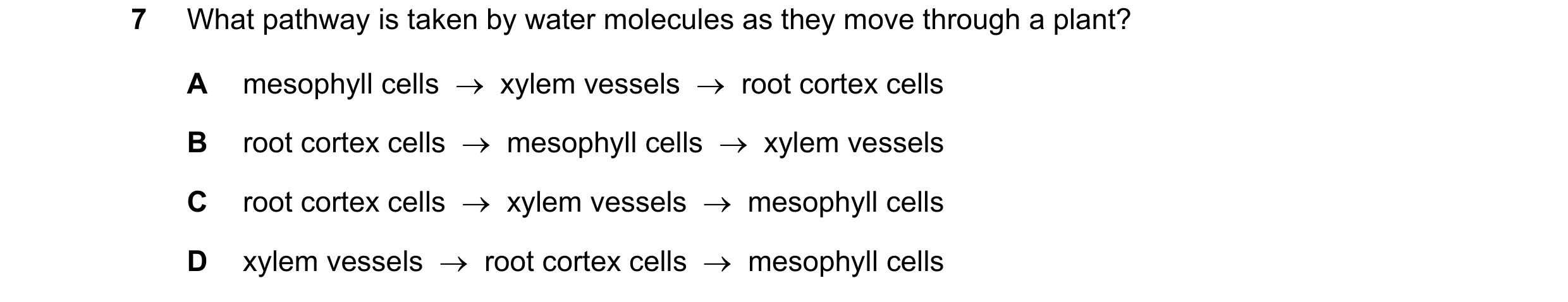 Question 9: What pathway is taken by water molecules as they move through a plant? A mesophyll cells → xylem vessels → root cortex cells B root cor…
