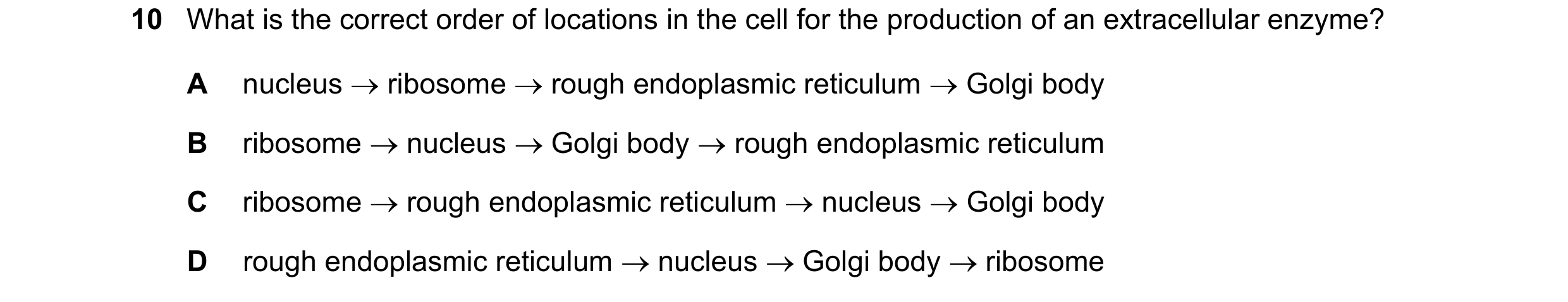 Question 175: What is the correct order of locations in the cell for the production of an extracellular enzyme? A nucleus ribosome rough endoplasmic …