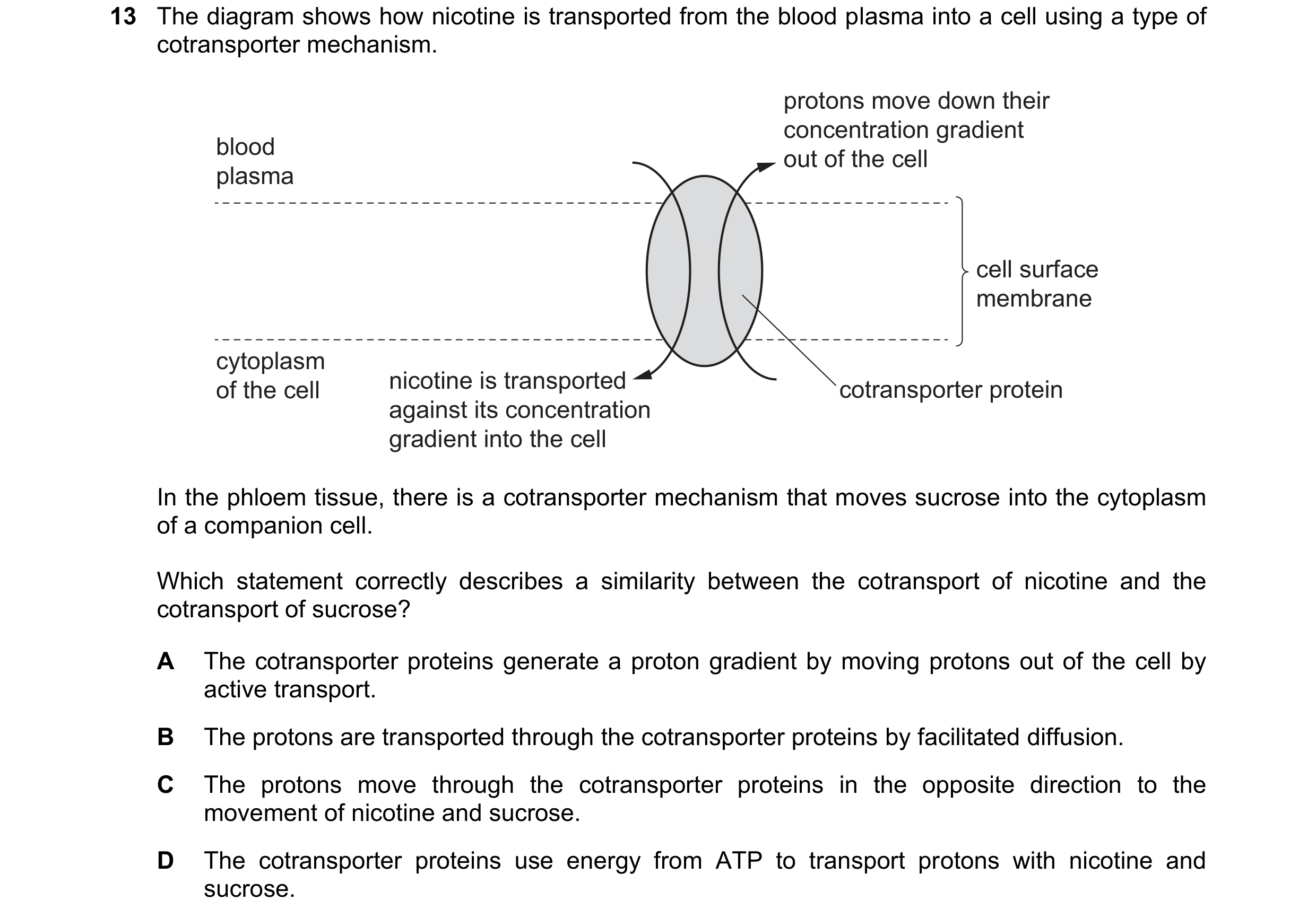 Question 226: The diagram shows how nicotine is transported from the blood plasma into a cell using a type of cotransporter mechanism. protons move down …