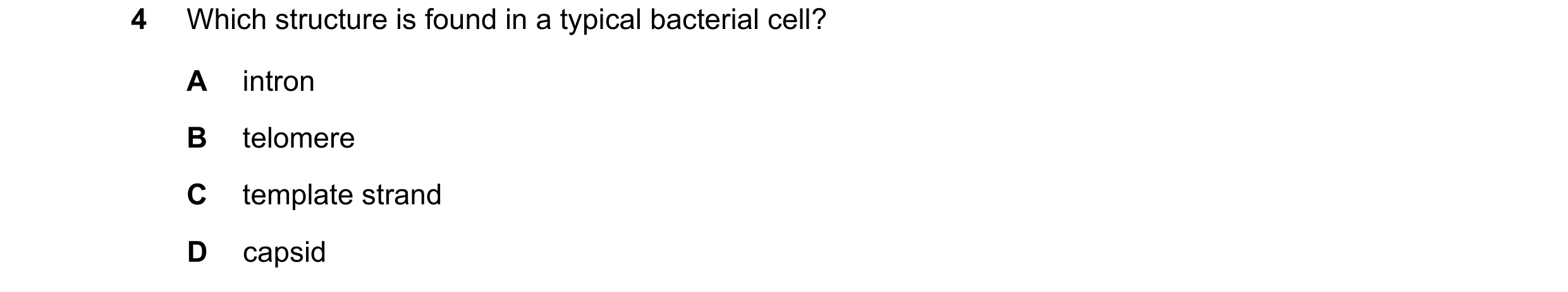 Question 341: Which structure is found in a typical bacterial cell? A intron B telomere C template strand D capsid