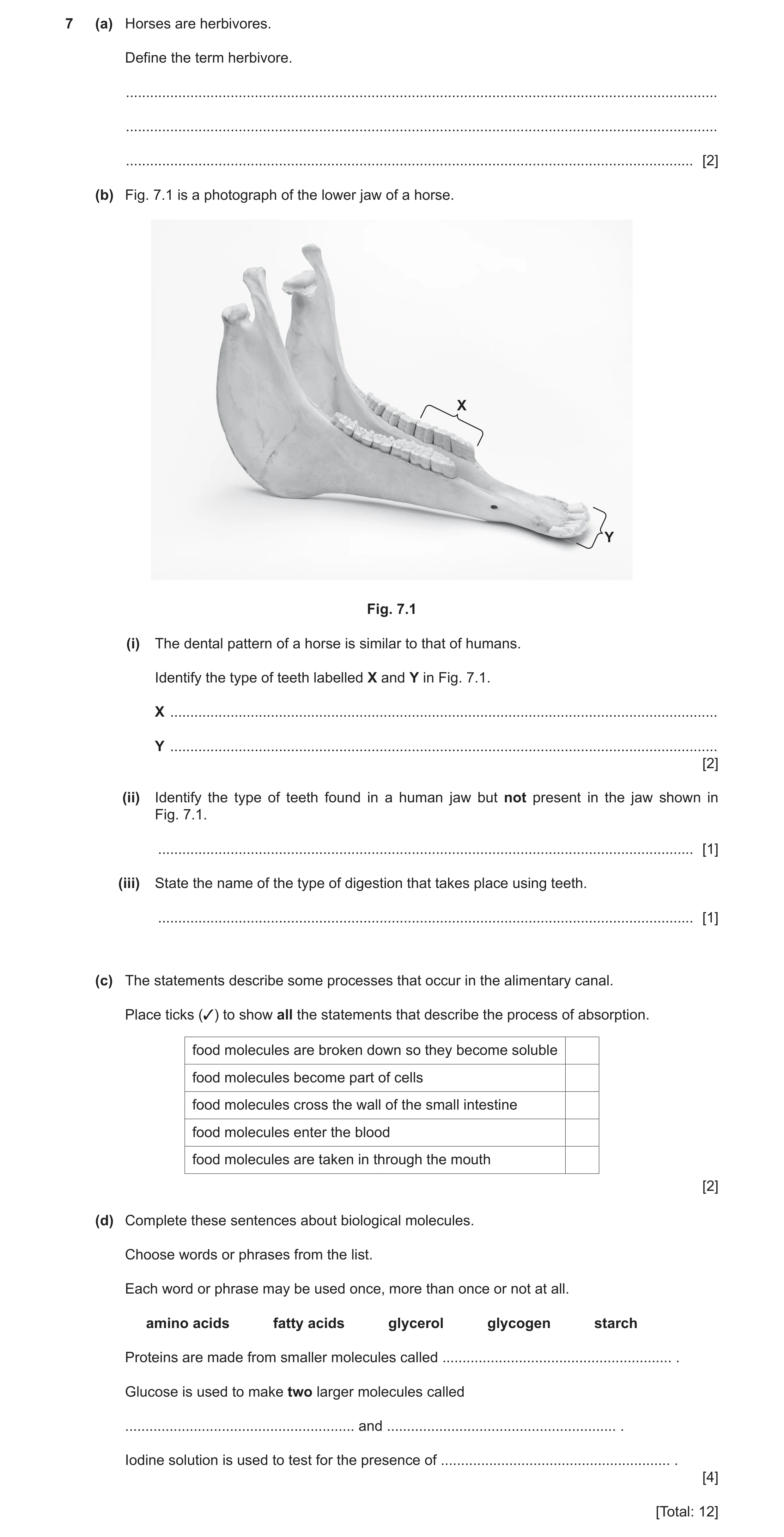 Question 13: (a) Horses are herbivores. Define the term herbivore. .....................................................................................…