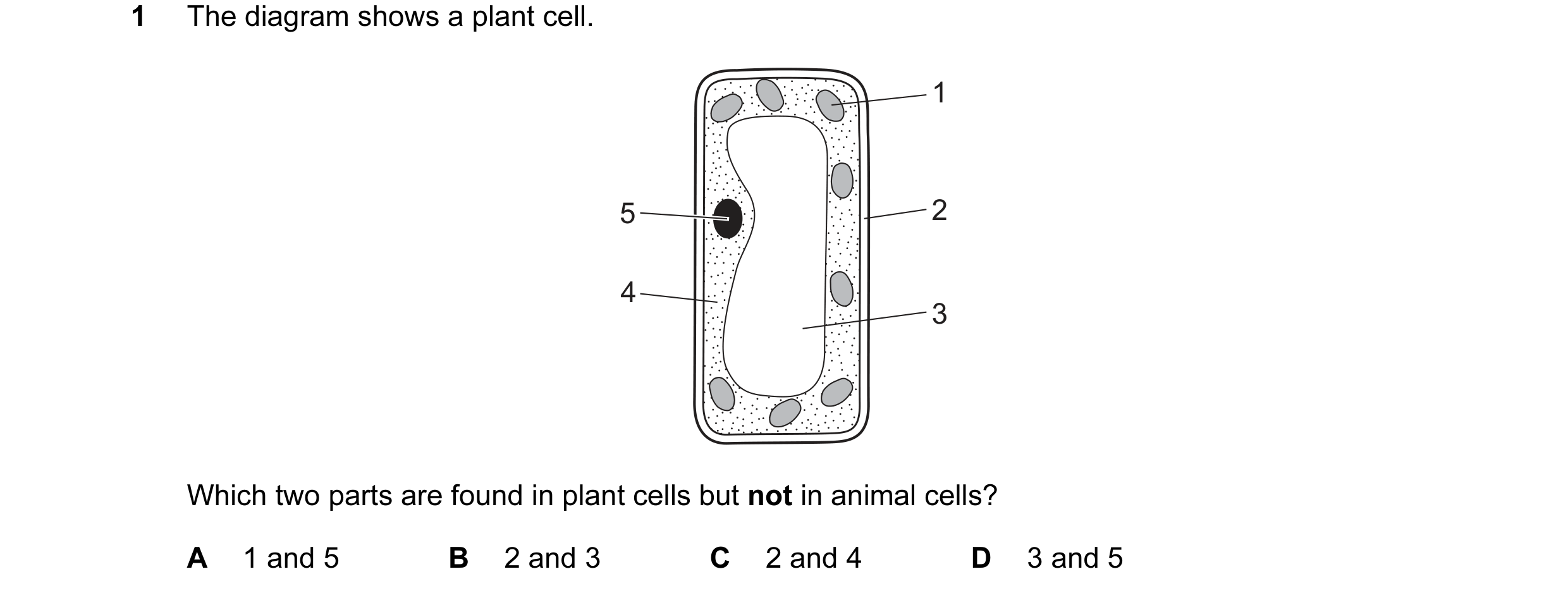 Question 38: The diagram shows a plant cell. 1 5 2 4 3 Which two parts are found in plant cells but not in animal cells? A 1 and 5 B 2 and 3 C 2 and 4 D…
