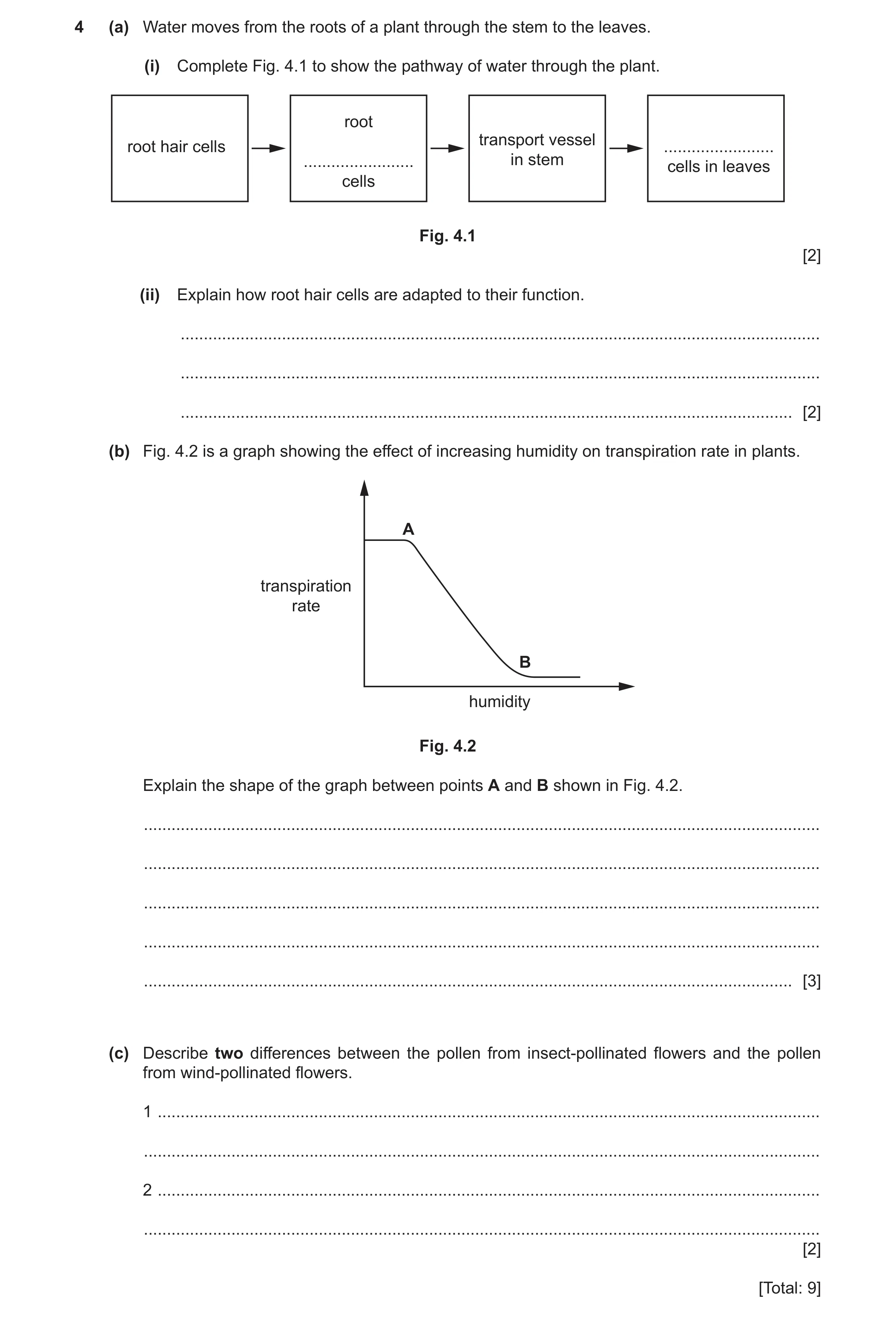 Question 10: (a) Water moves from the roots of a plant through the stem to the leaves. (i) Complete Fig. 4.1 to show the pathway of water through the pl…