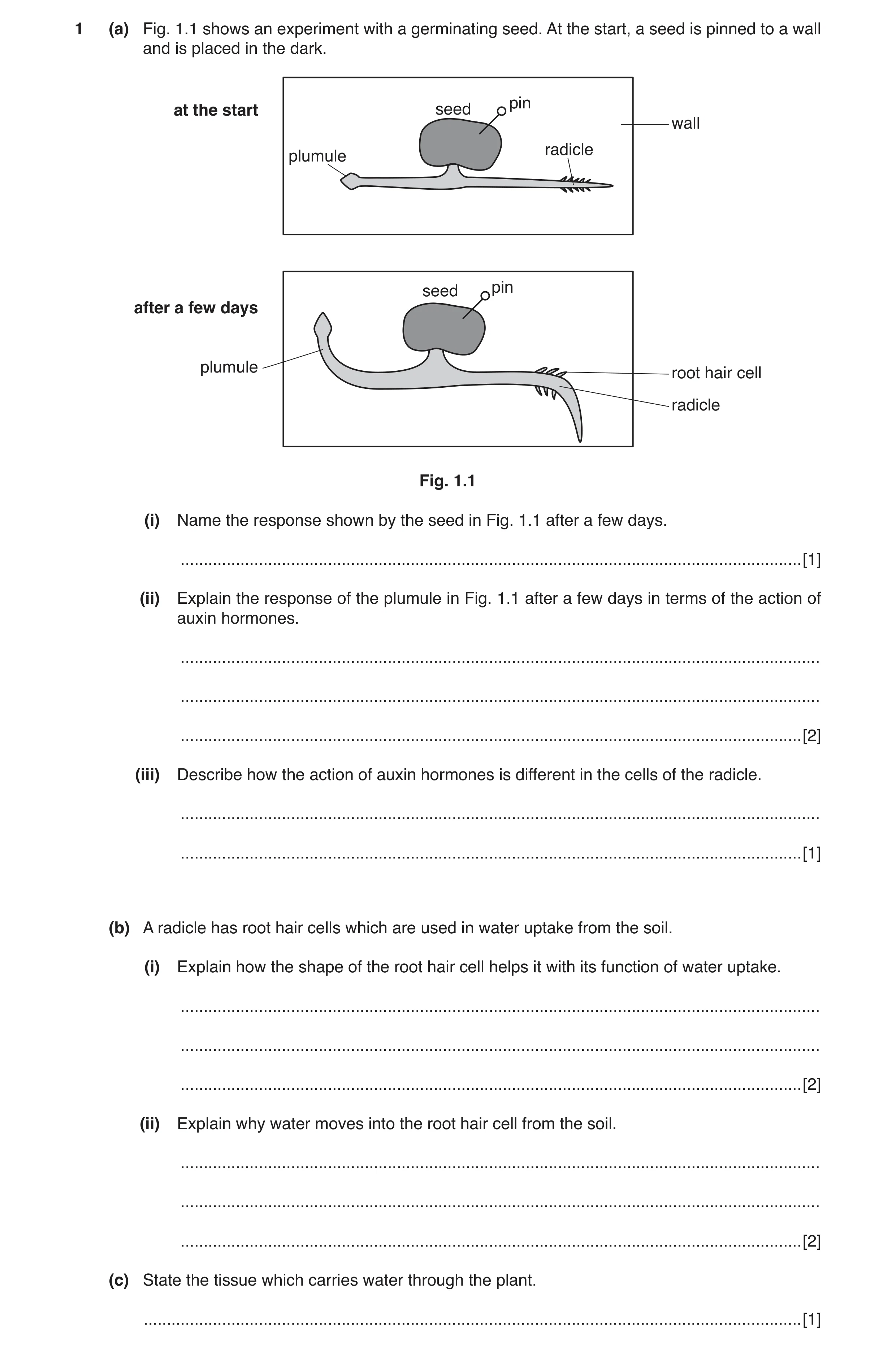 Question 4: (a) Fig. 1.1 shows an experiment with a germinating seed. At the start, a seed is pinned to a wall and is placed in the dark. pin at the st…