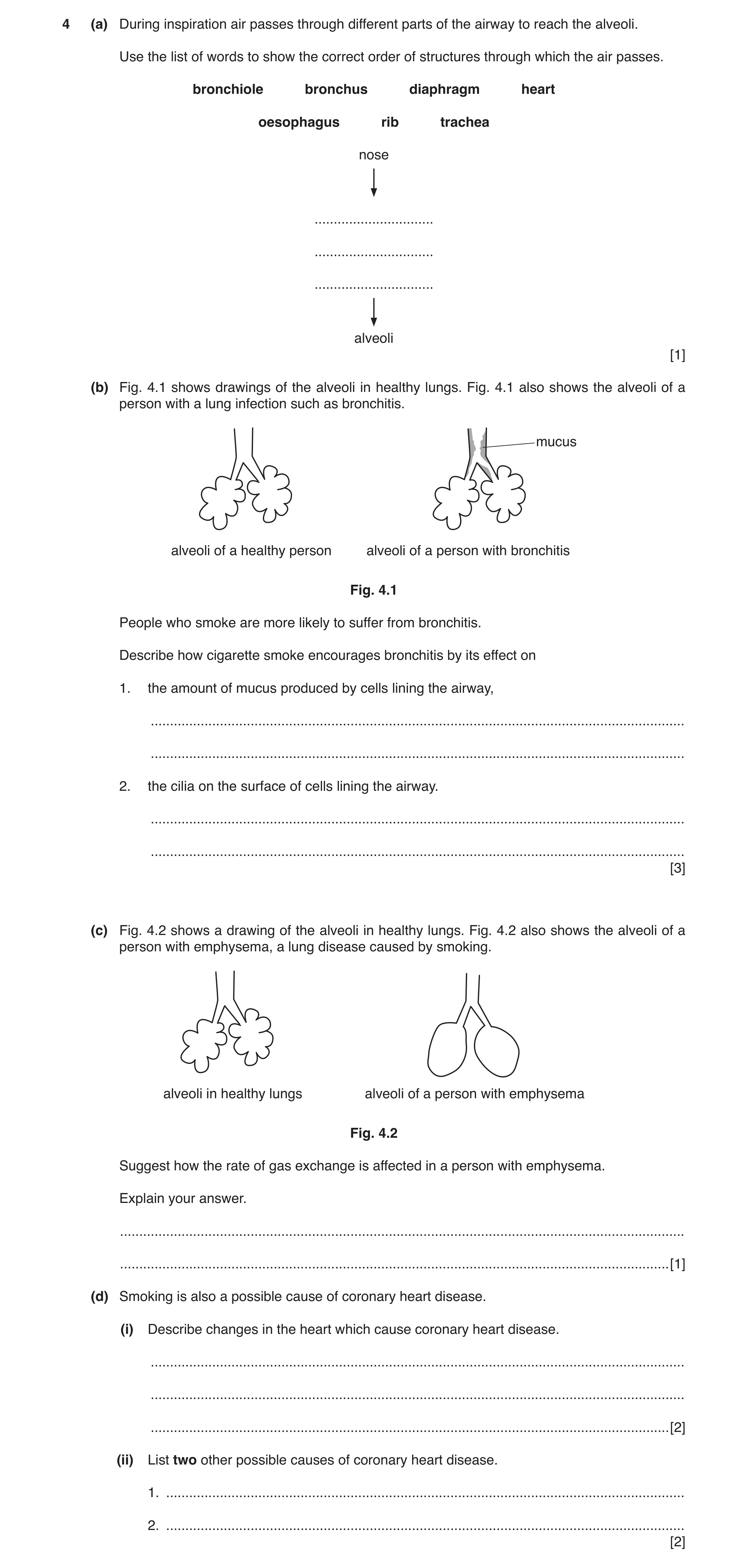 Question 2: (a) During inspiration air passes through different parts of the airway to reach the alveoli. Use the list of words to show the correct ord…