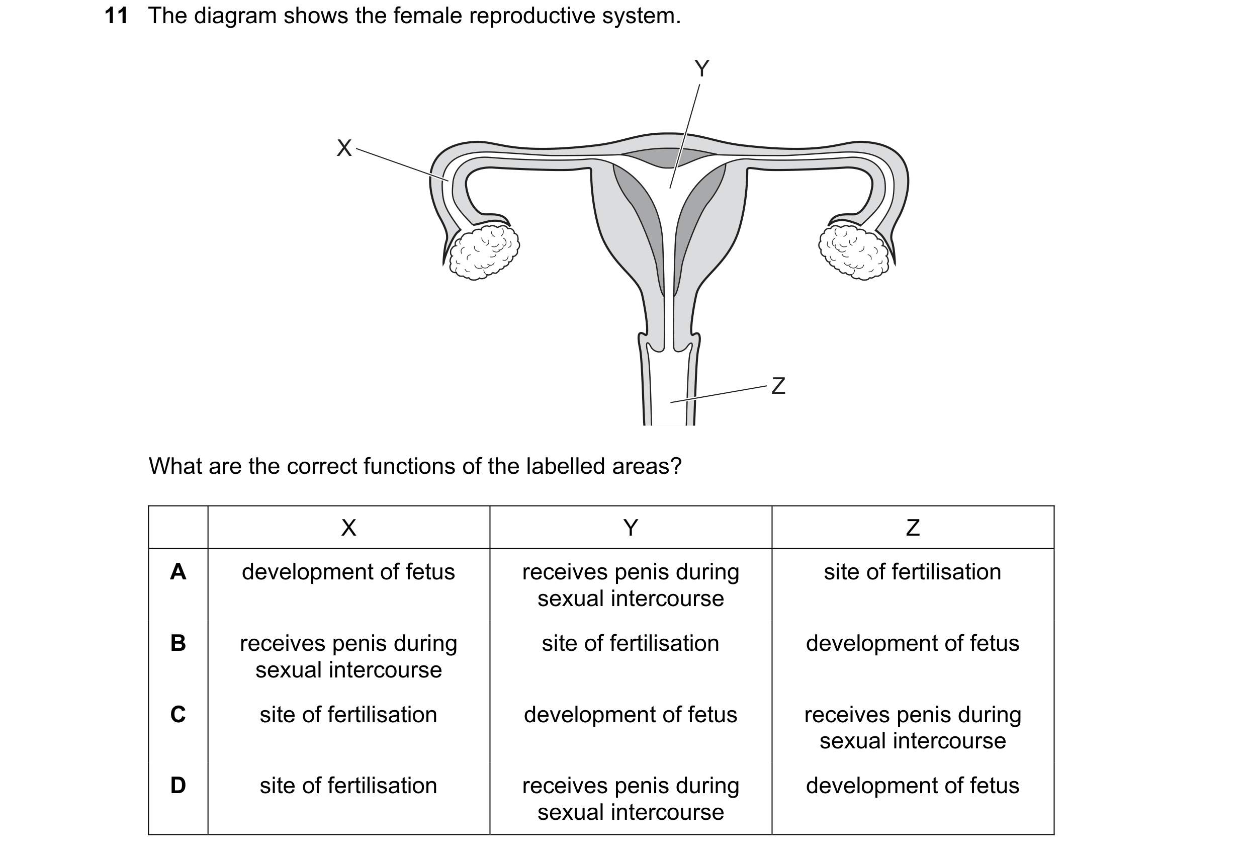 Question 80: The diagram shows the female reproductive system. Y X Z What are the correct functions of the labelled areas? X Y Z A development of fetus …