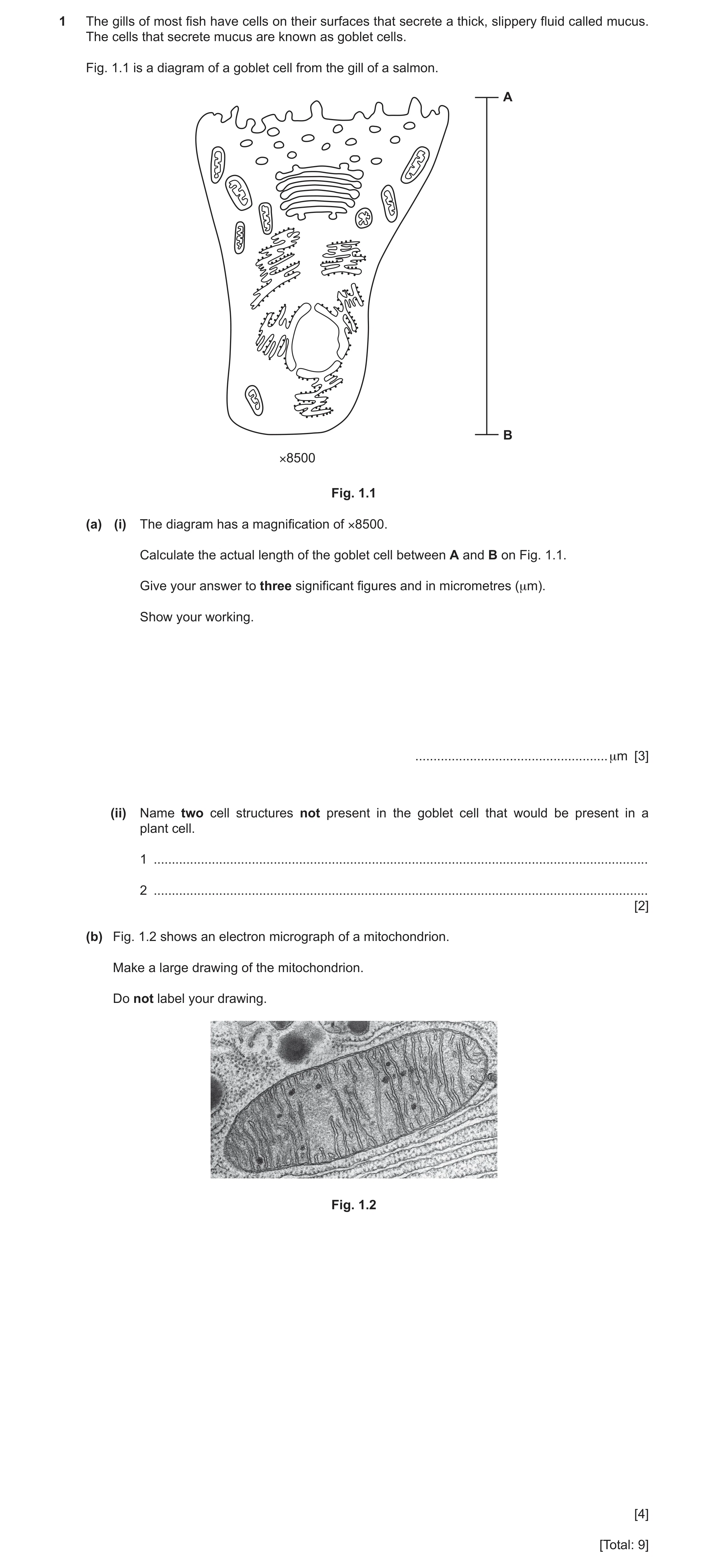 Question 10: The gills of most fish have cells on their surfaces that secrete a thick, slippery fluid called mucus. The cells that secrete mucus are kno…
