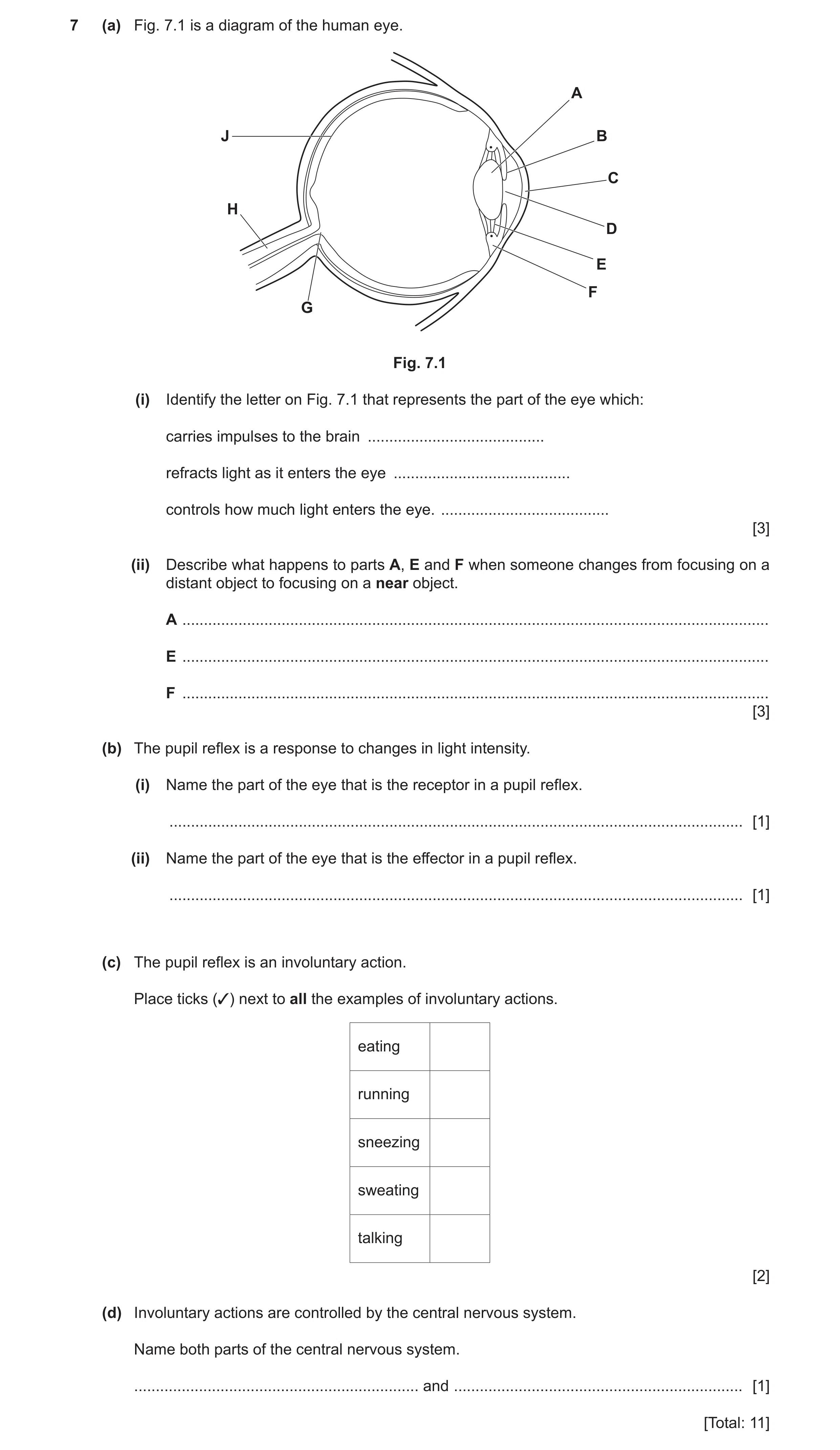 Question 7: (a) Fig. 7.1 is a diagram of the human eye. A J B C H D E F G Fig. 7.1 (i) Identify the letter on Fig. 7.1 that represents the part of the …