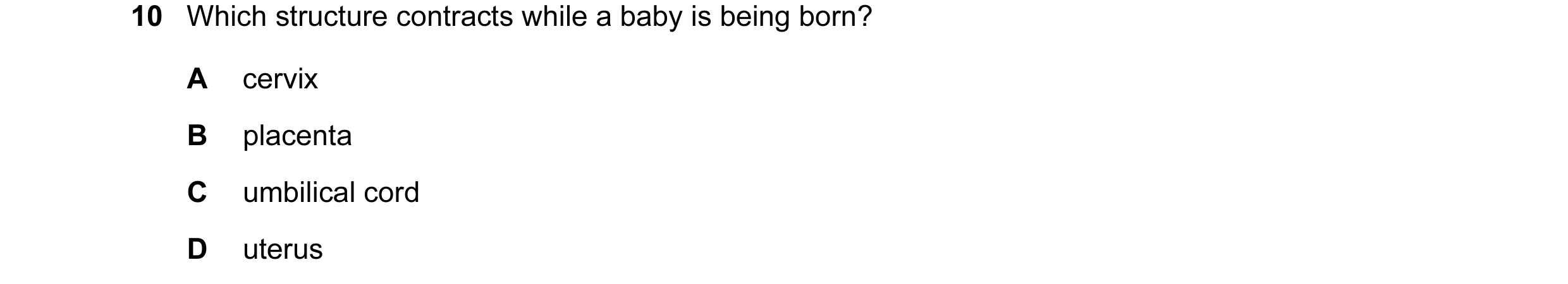 Question 8: Which structure contracts while a baby is being born? A cervix B placenta C umbilical cord D uterus