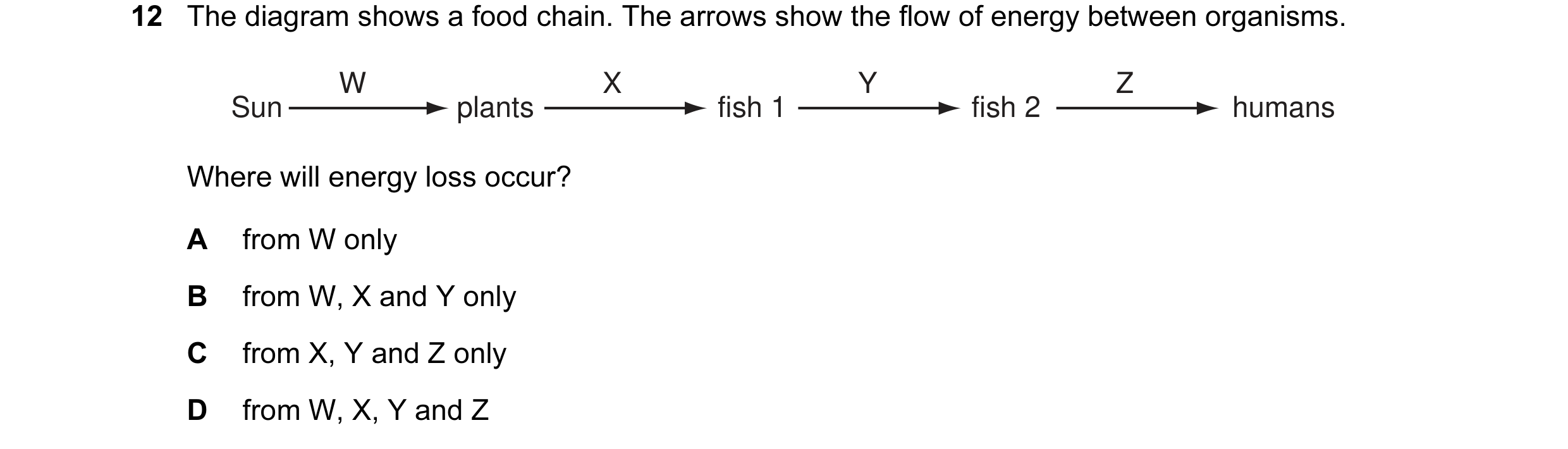 Question 5: The diagram shows a food chain. The arrows show the flow of energy between organisms. W X Y Z Sun plants fish 1 fish 2 humans Where will en…