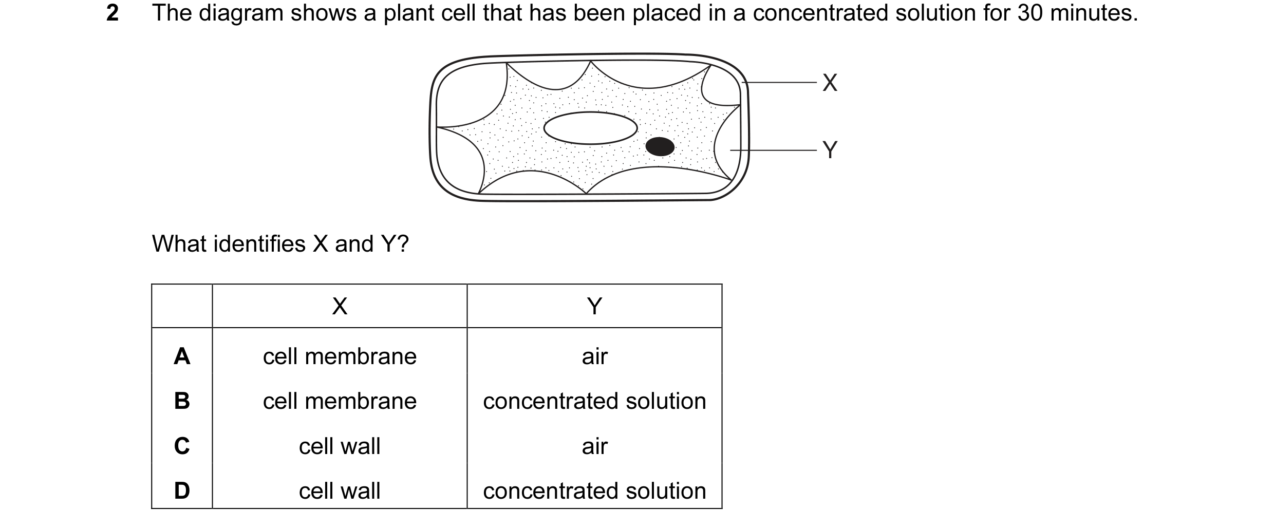 Question 5: The diagram shows a plant cell that has been placed in a concentrated solution for 30 minutes. X Y What identifies X and Y? X Y A cell memb…