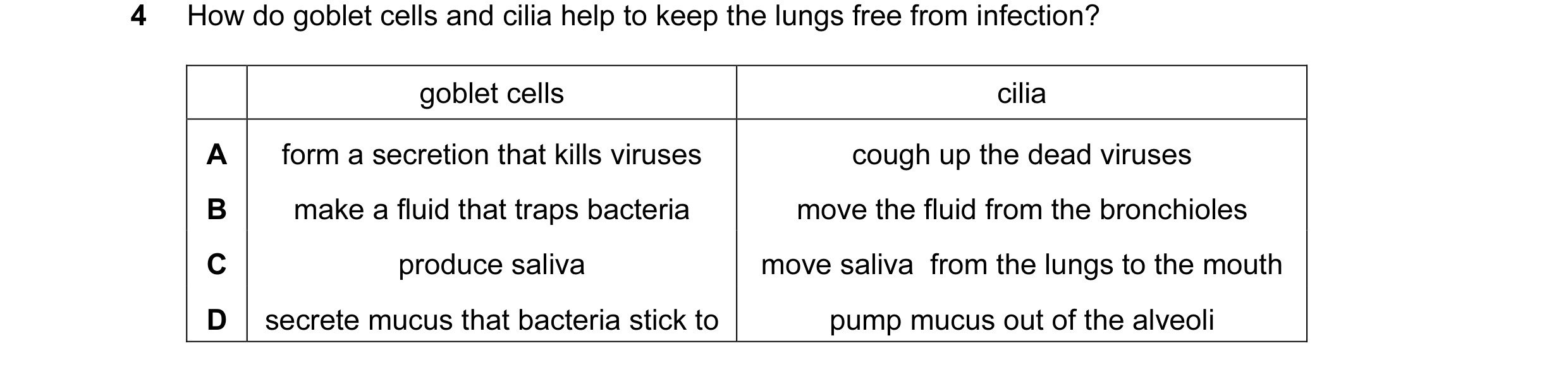 Question 7: How do goblet cells and cilia help to keep the lungs free from infection? goblet cells cilia A form a secretion that kills viruses cough up…