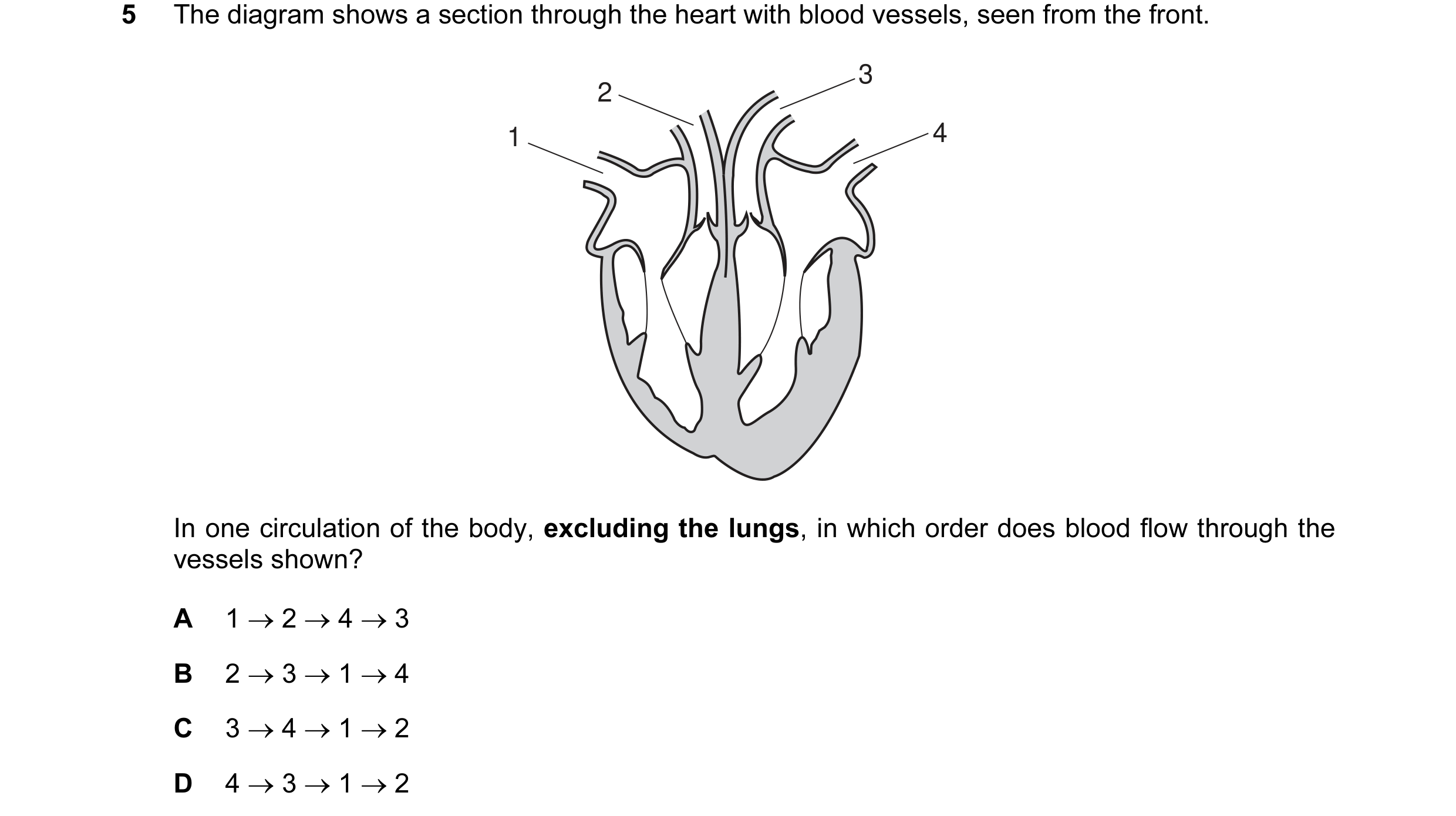 Question 5: The diagram shows a section through the heart with blood vessels, seen from the front. 3 2 1 4 In one circulation of the body, excluding th…