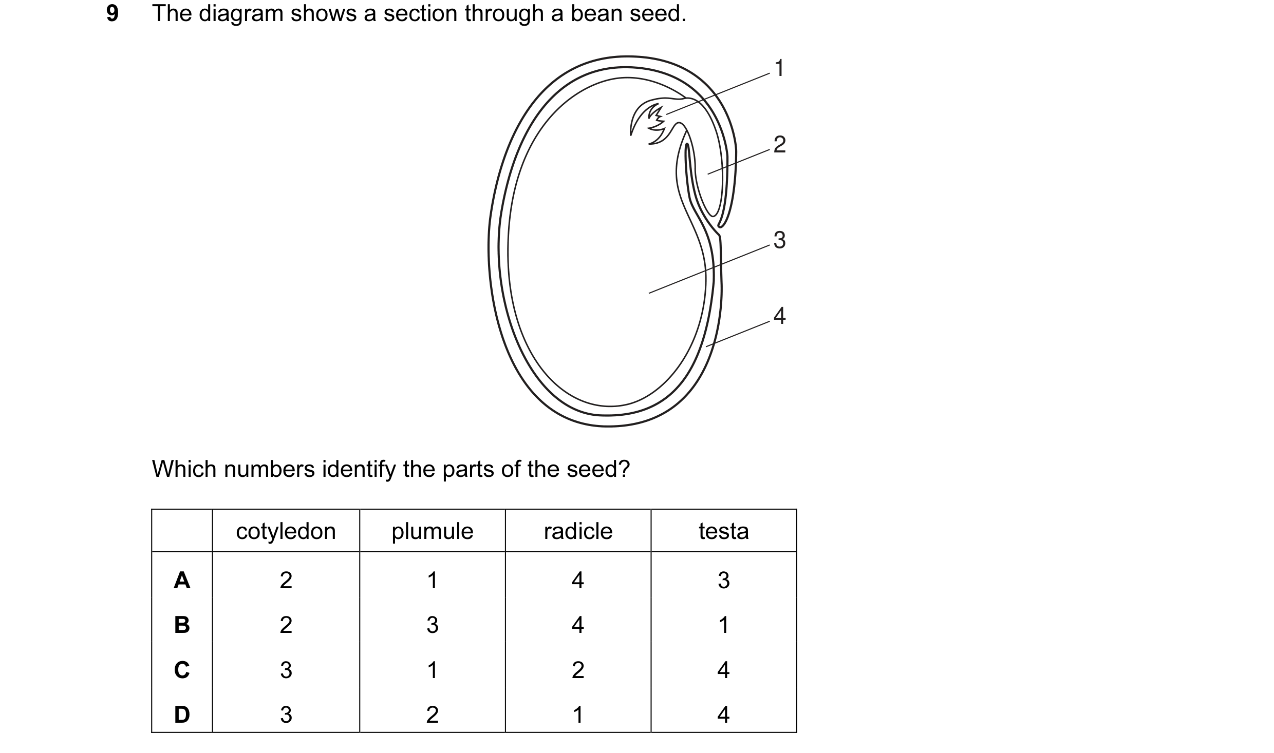 Question 5: The diagram shows a section through a bean seed. 1 2 3 4 Which numbers identify the parts of the seed? cotyledon plumule radicle testa A 2 …